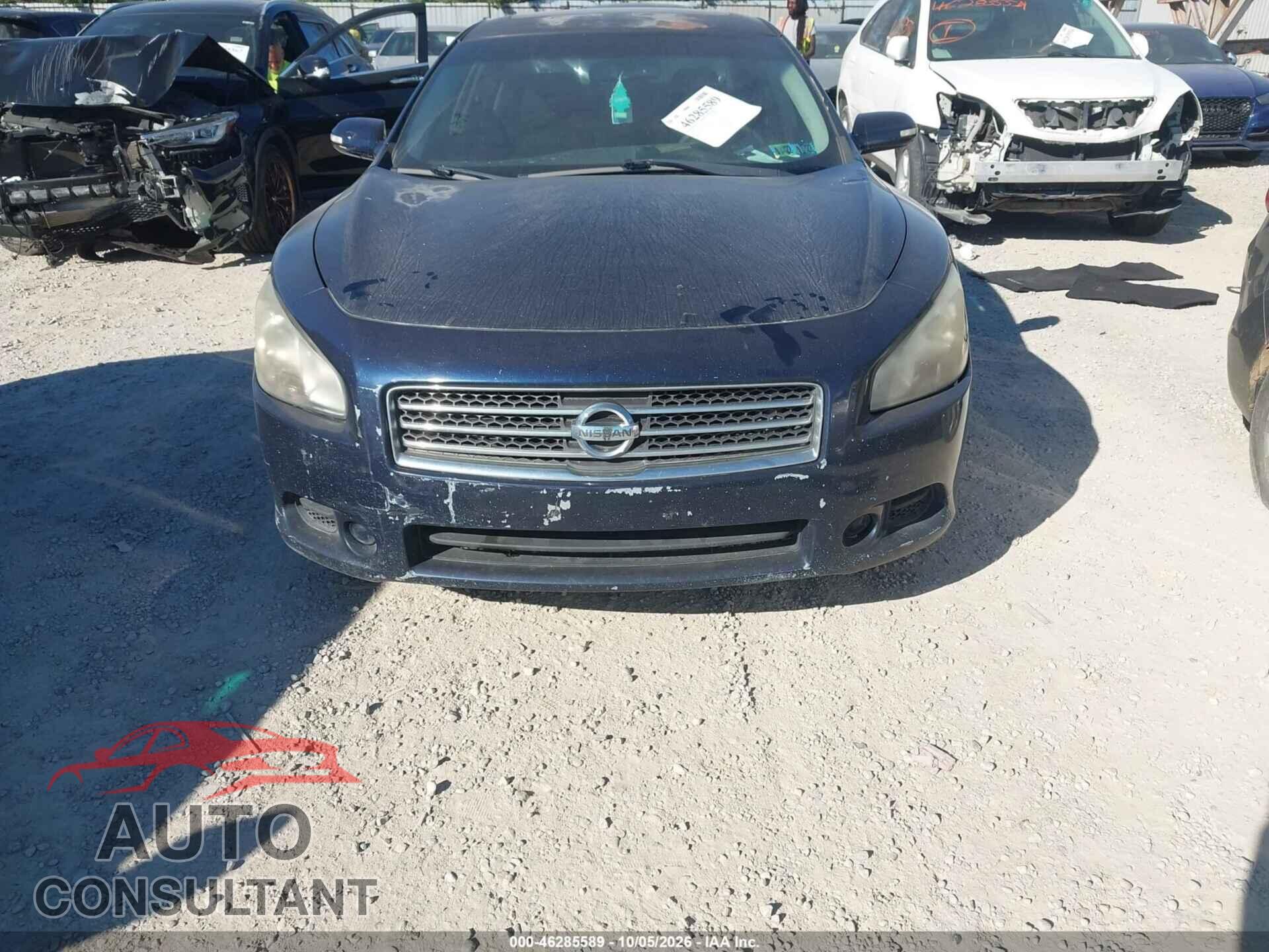 NISSAN MAXIMA 2010 - 1N4AA5AP0AC856463