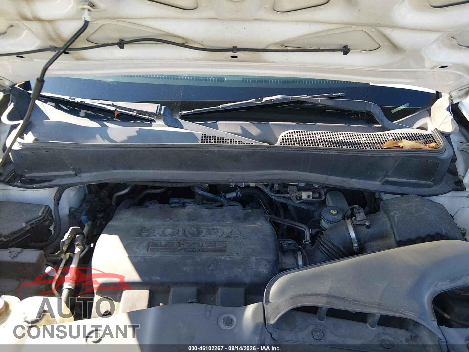 HONDA PILOT 2012 - 5FNYF3H90CB012533