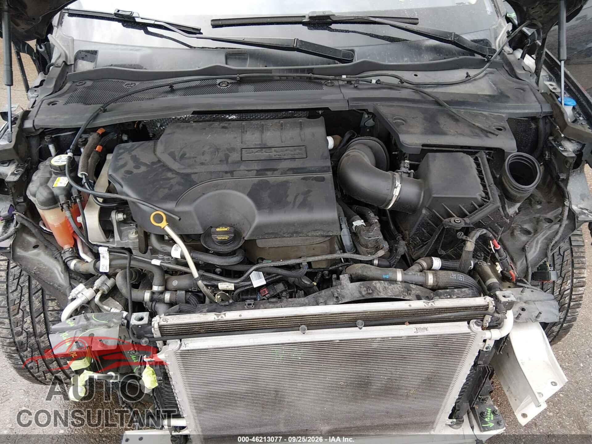 JAGUAR E-PACE 2021 - SADFP2FX6M1024460