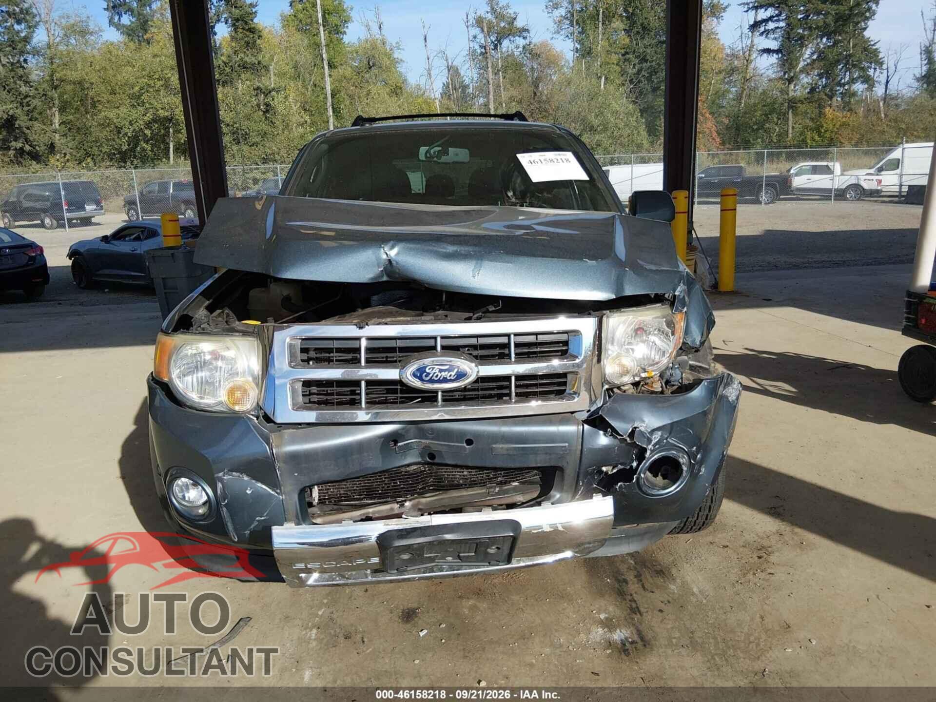FORD ESCAPE 2010 - 1FMCU9EG9AKD20429