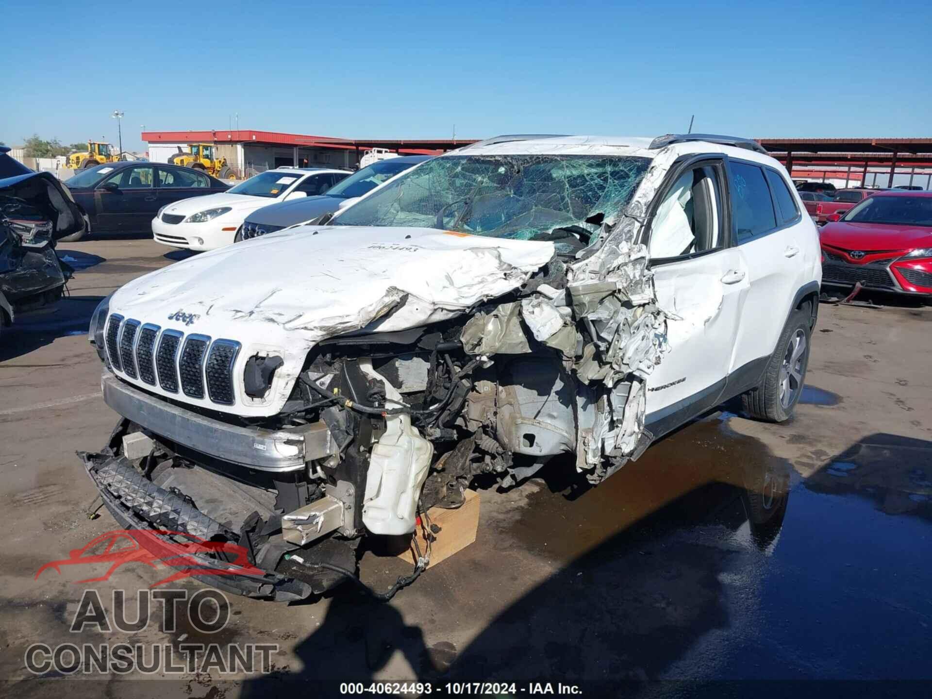 JEEP CHEROKEE 2019 - 1C4PJLDB1KD357093