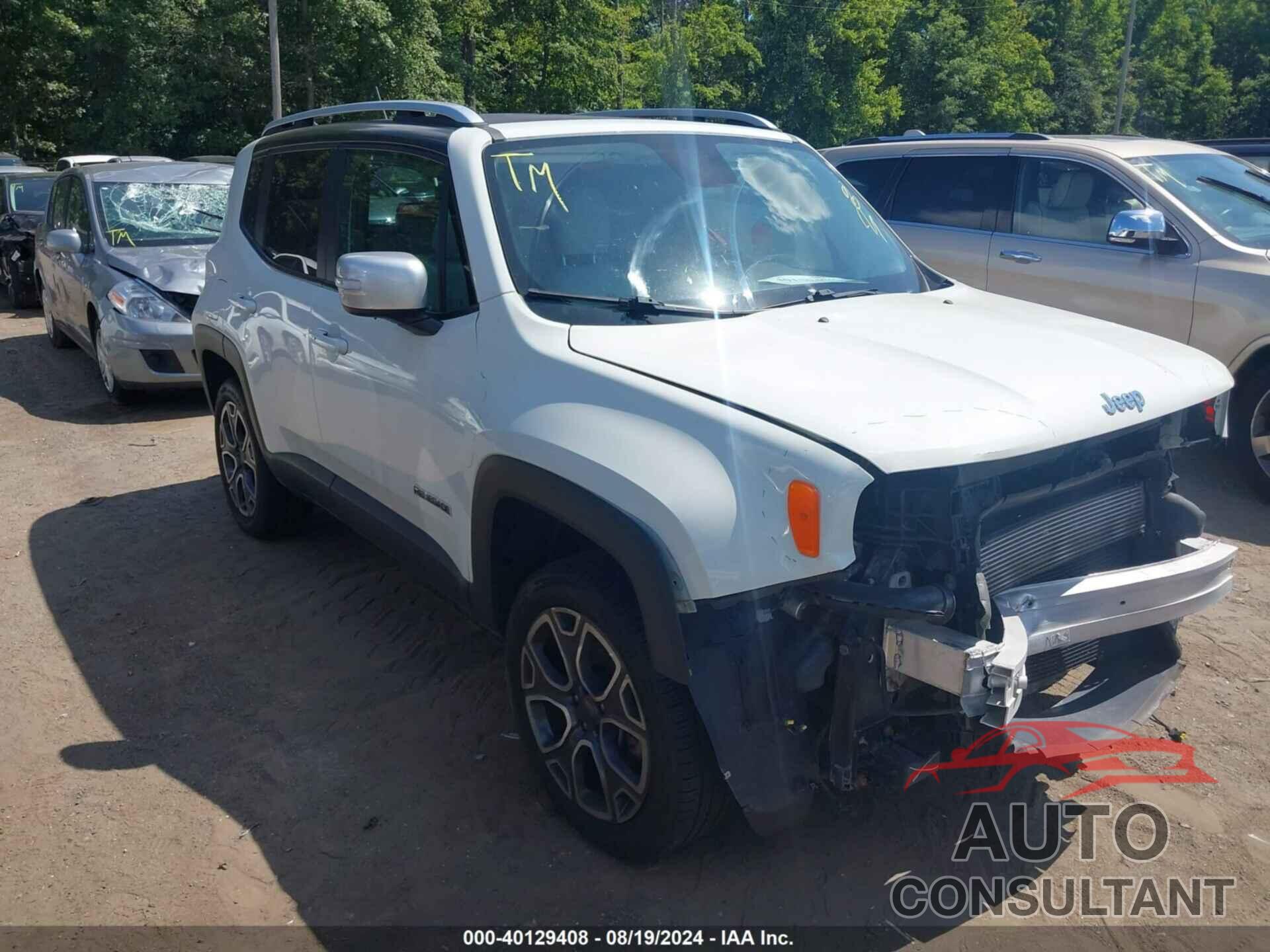 JEEP RENEGADE 2016 - ZACCJBDT5GPC66239