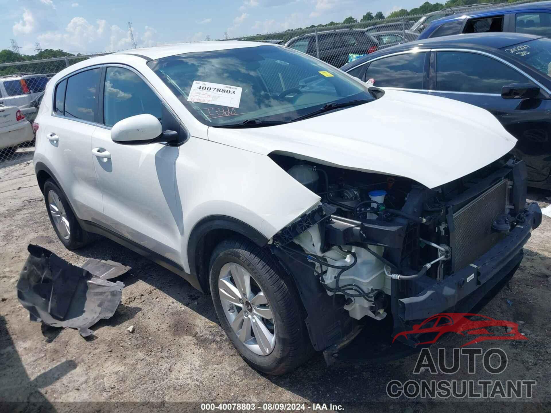 KIA SPORTAGE 2019 - KNDPM3AC2K7621795