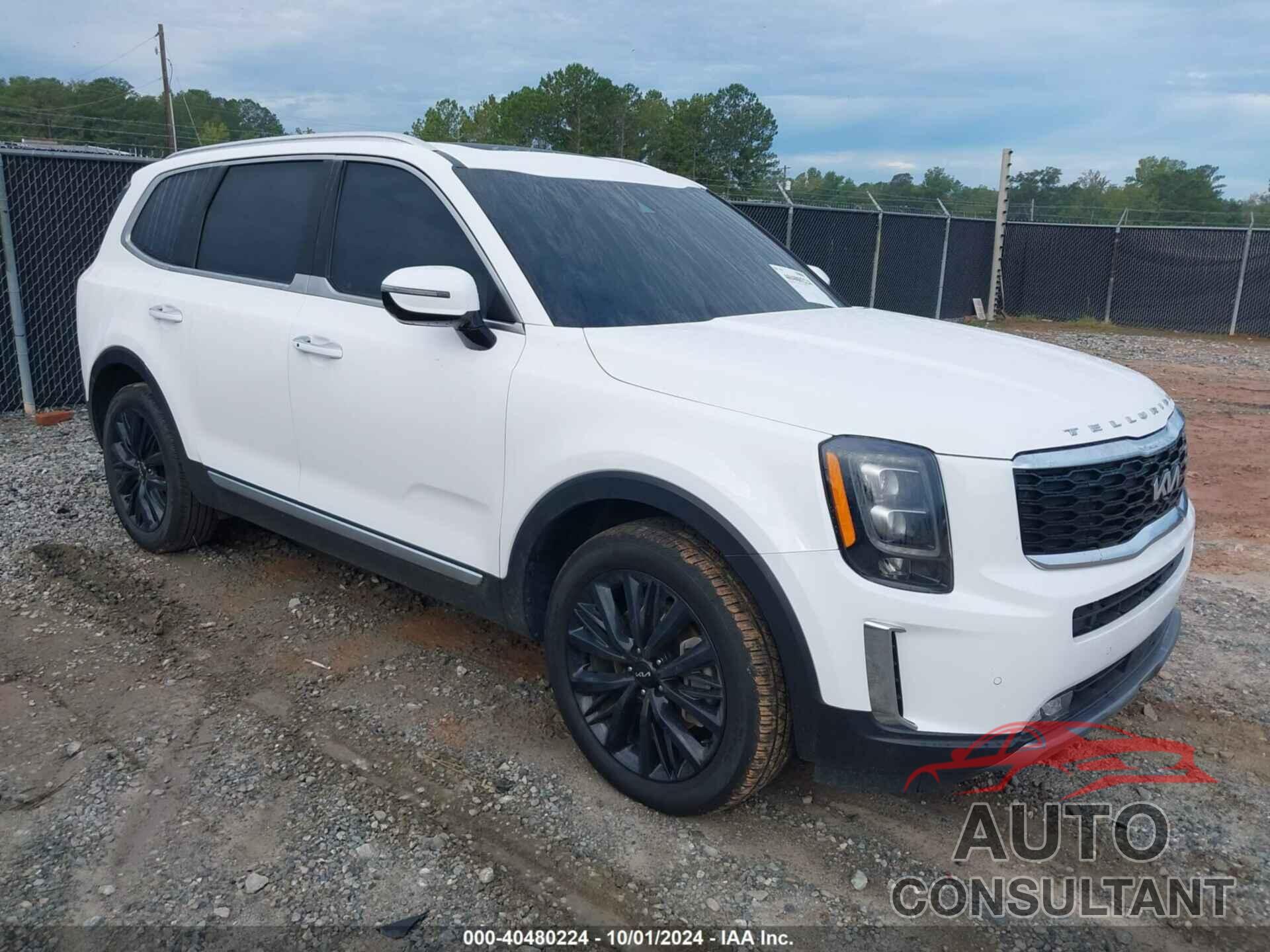 KIA TELLURIDE 2022 - 5XYP54HC3NG311039