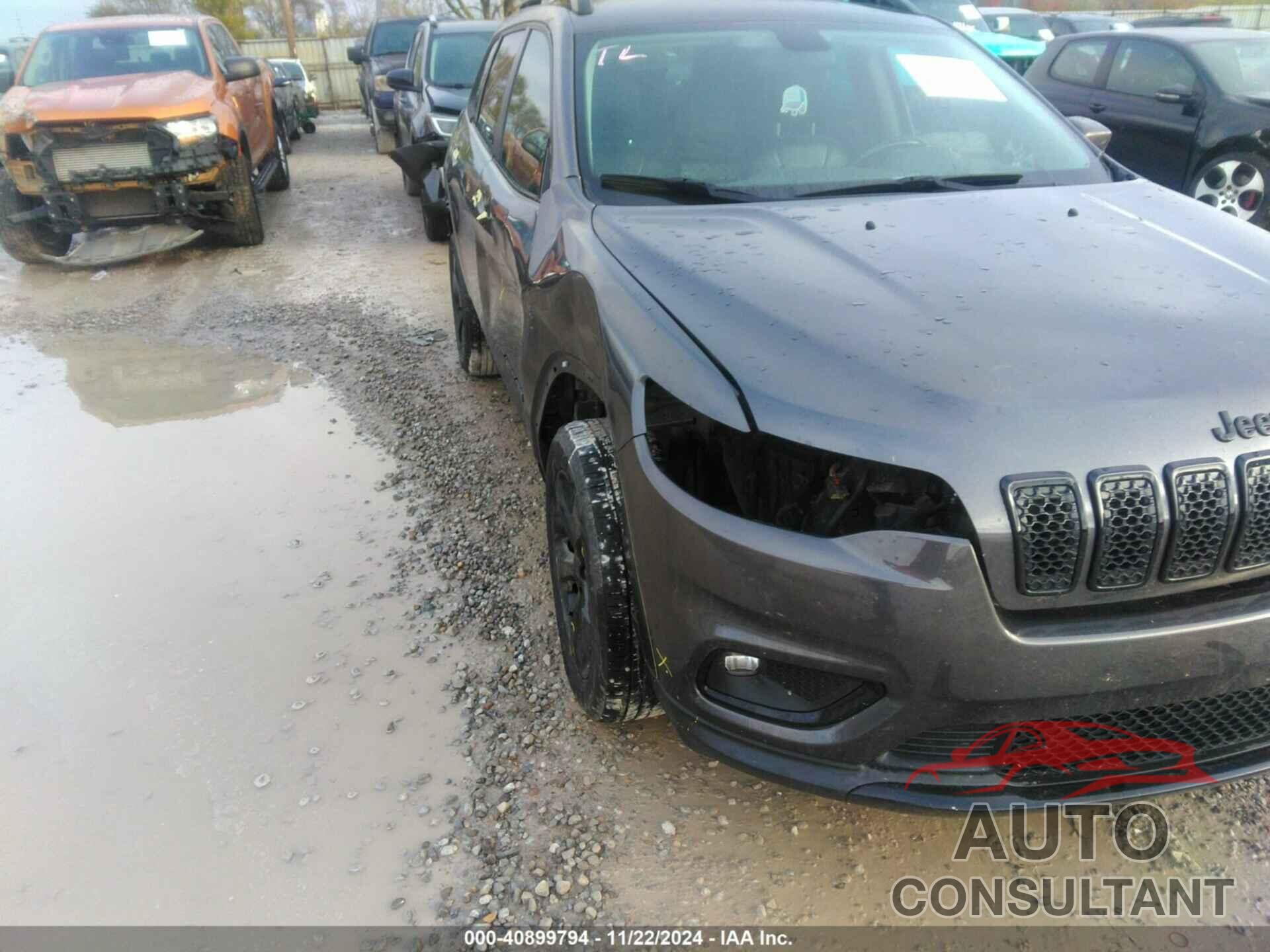 JEEP CHEROKEE 2019 - 1C4PJMLB1KD372586