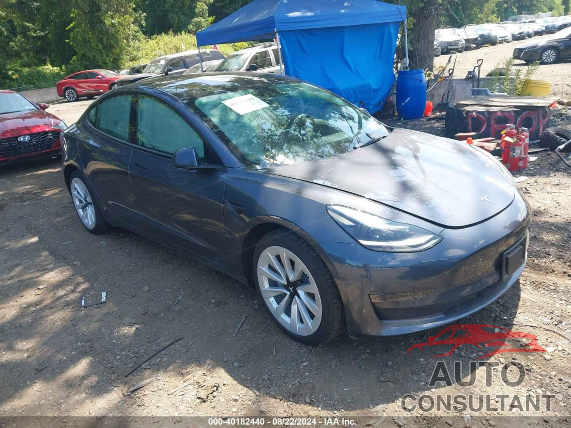 TESLA MODEL 3 2022 - 5YJ3E1EB9NF354980