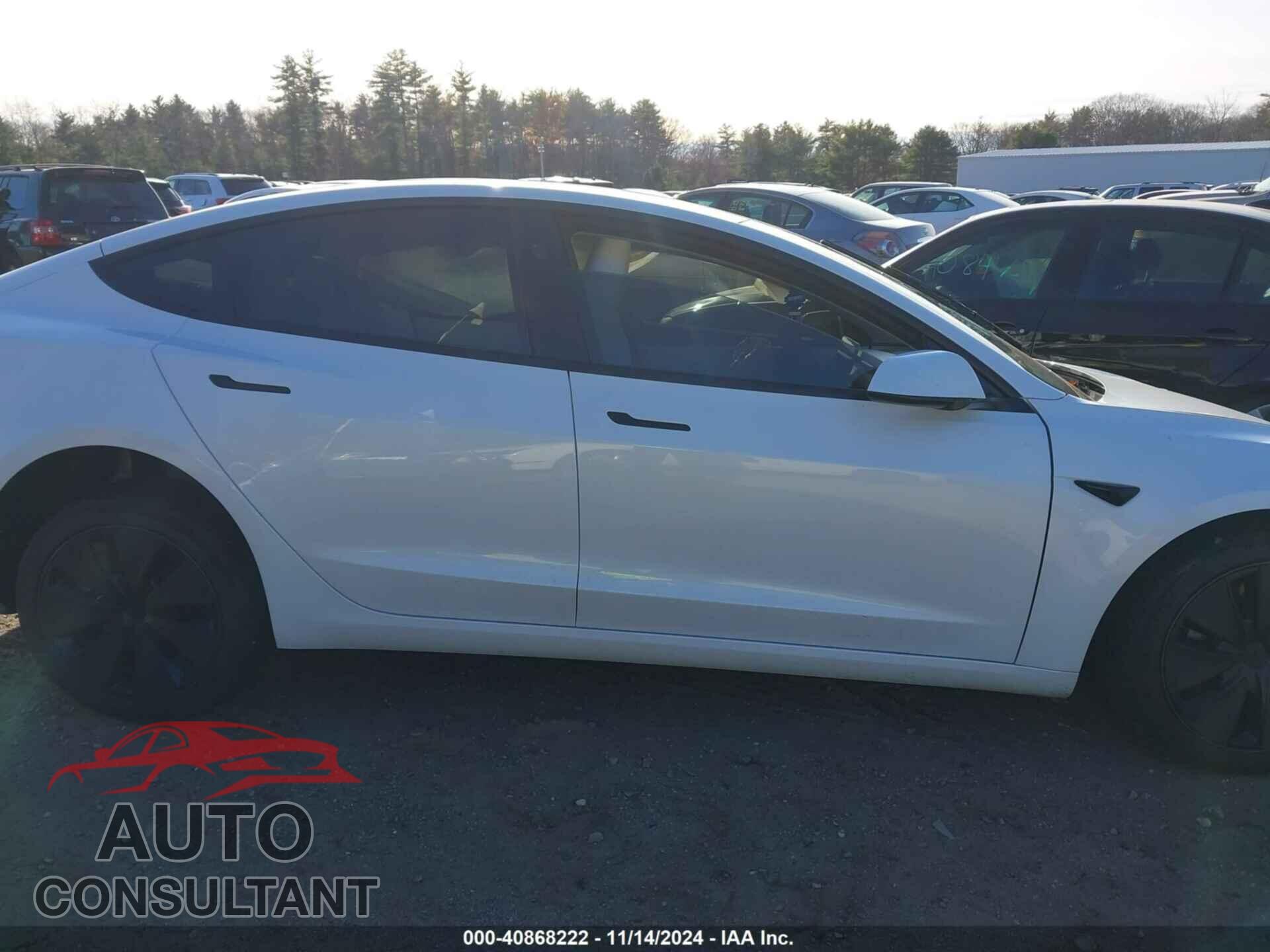 TESLA MODEL 3 2024 - 5YJ3E1EA4RF849567