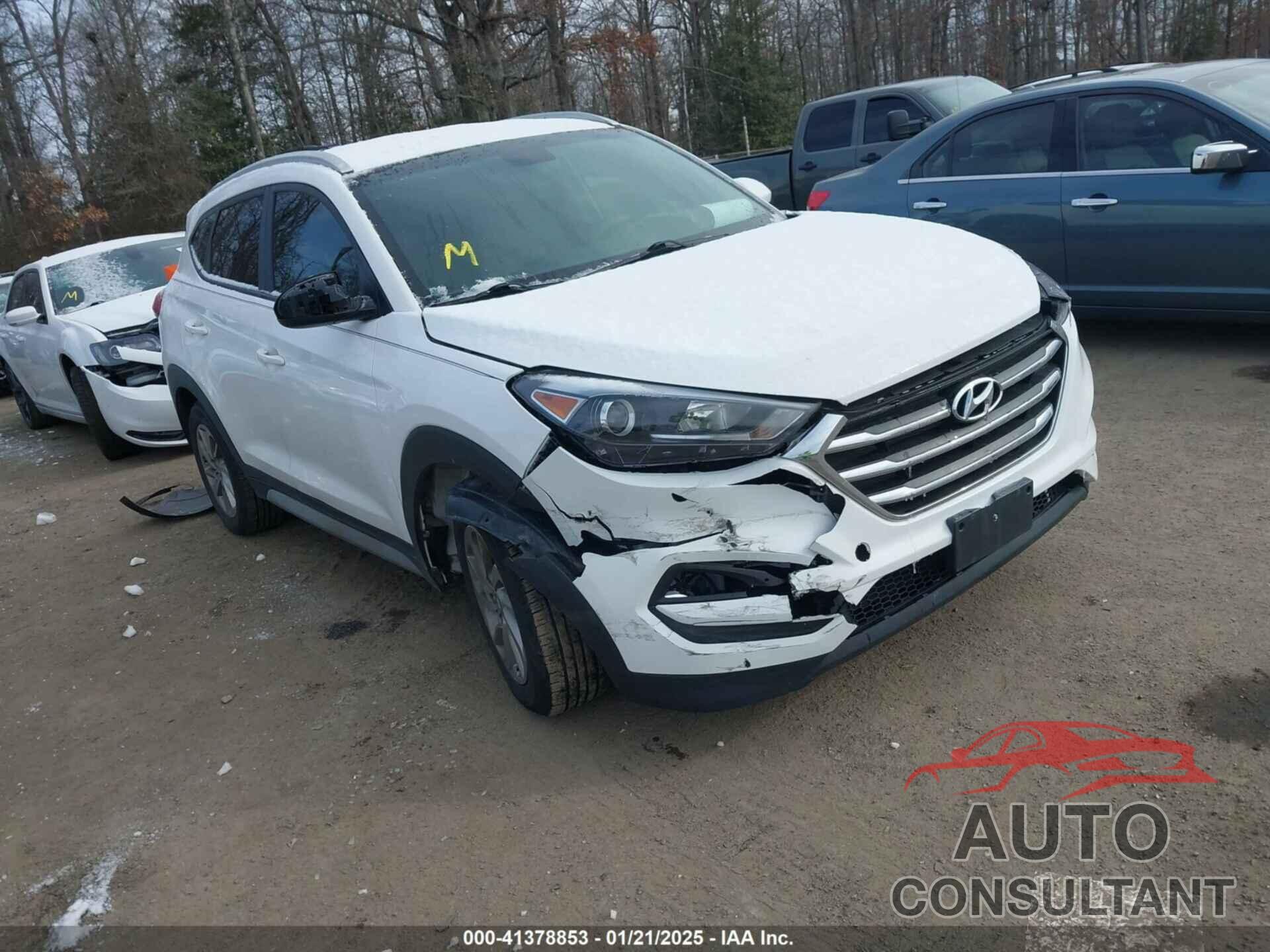 HYUNDAI TUCSON 2017 - KM8J3CA48HU556569