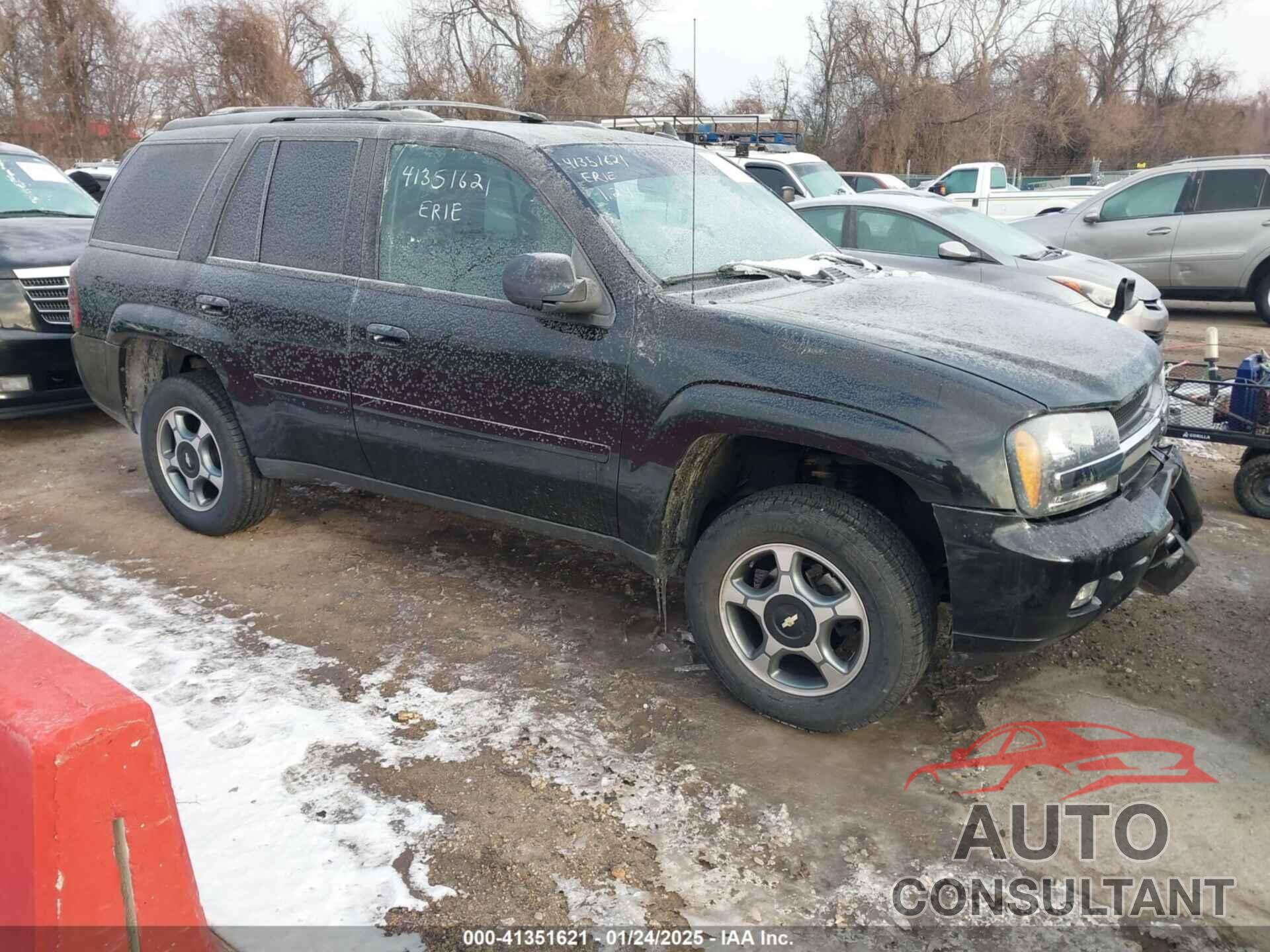 CHEVROLET TRAILBLAZER 2009 - 1GNDT33S992131878