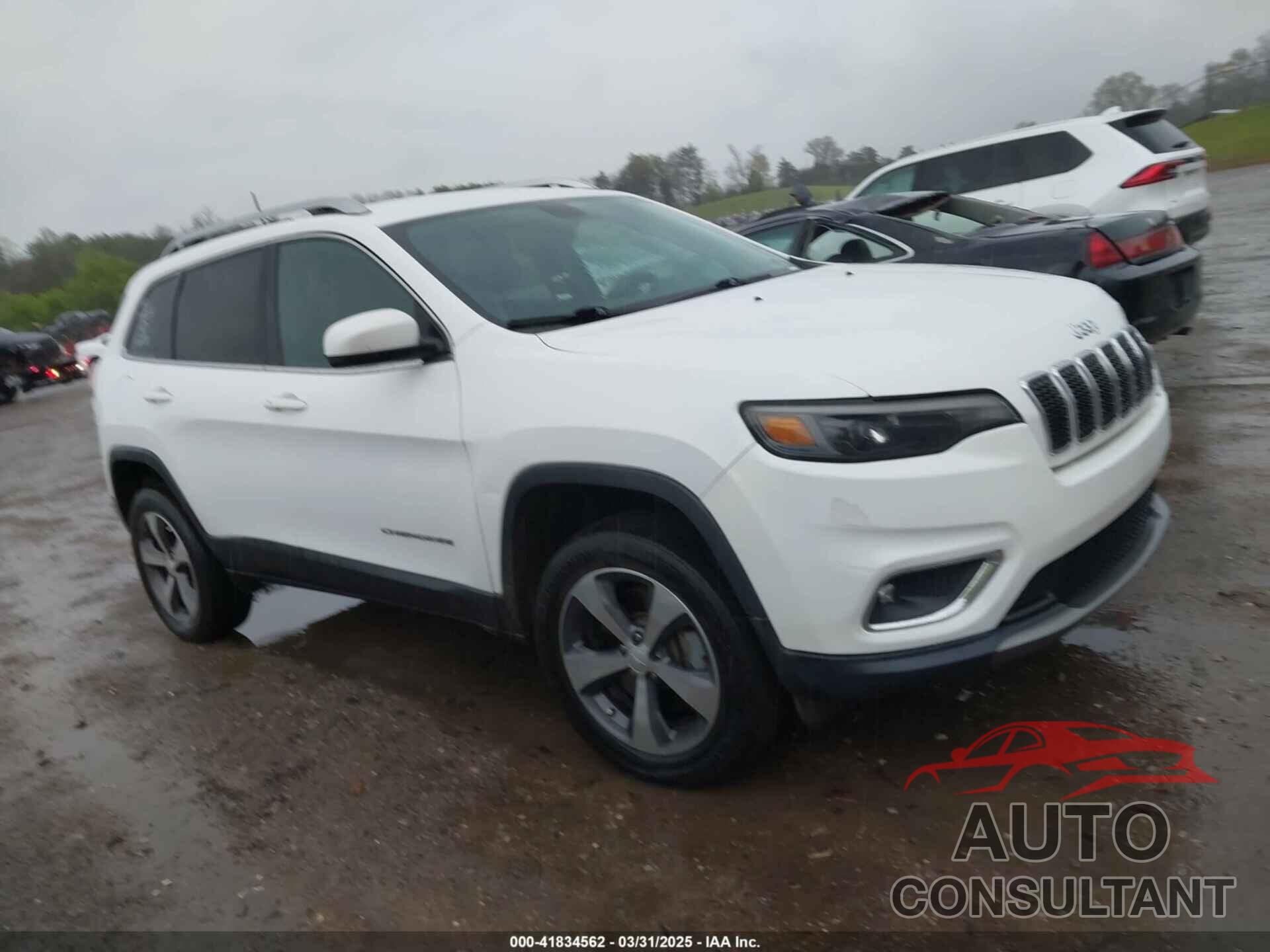 JEEP CHEROKEE 2019 - 1C4PJMDN9KD173231