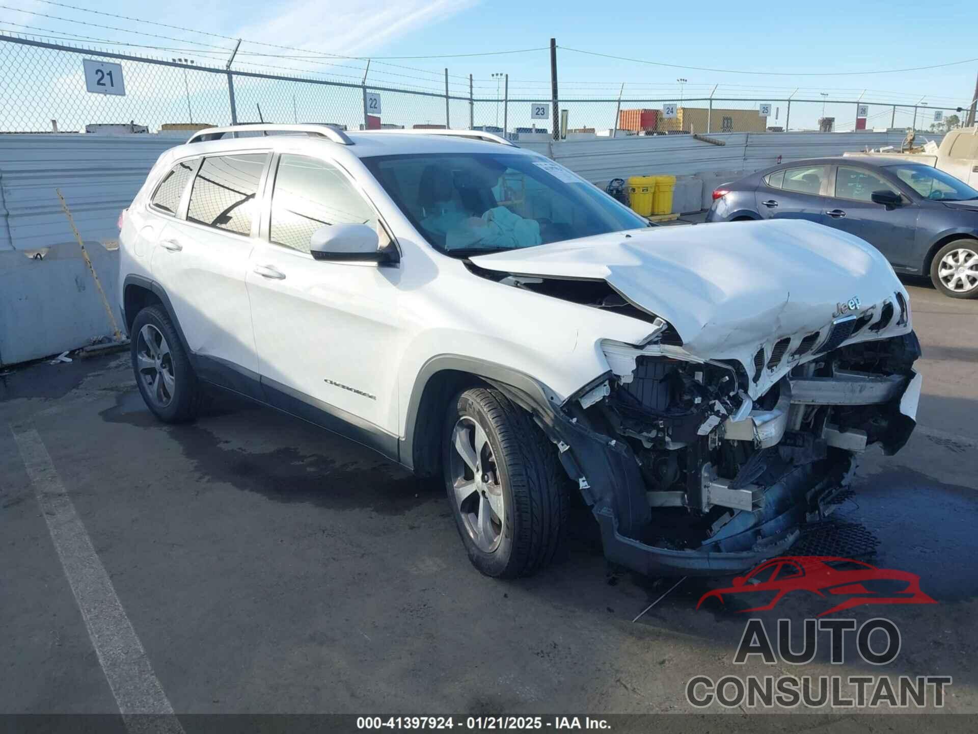 JEEP CHEROKEE 2019 - 1C4PJLDB4KD362420