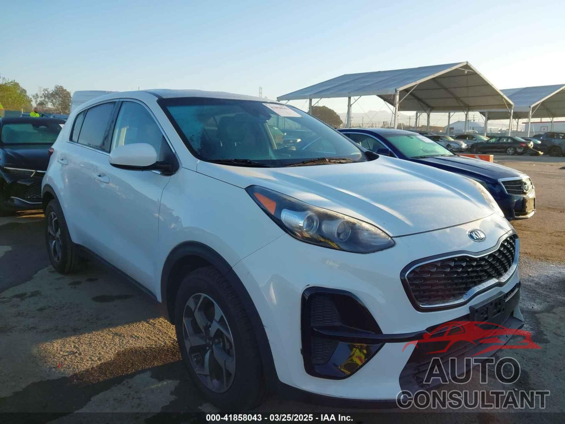 KIA SPORTAGE 2020 - KNDPM3AC2L7733689