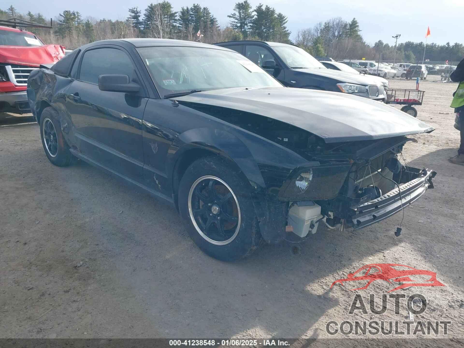 FORD MUSTANG 2009 - 1ZVHT80N695137431