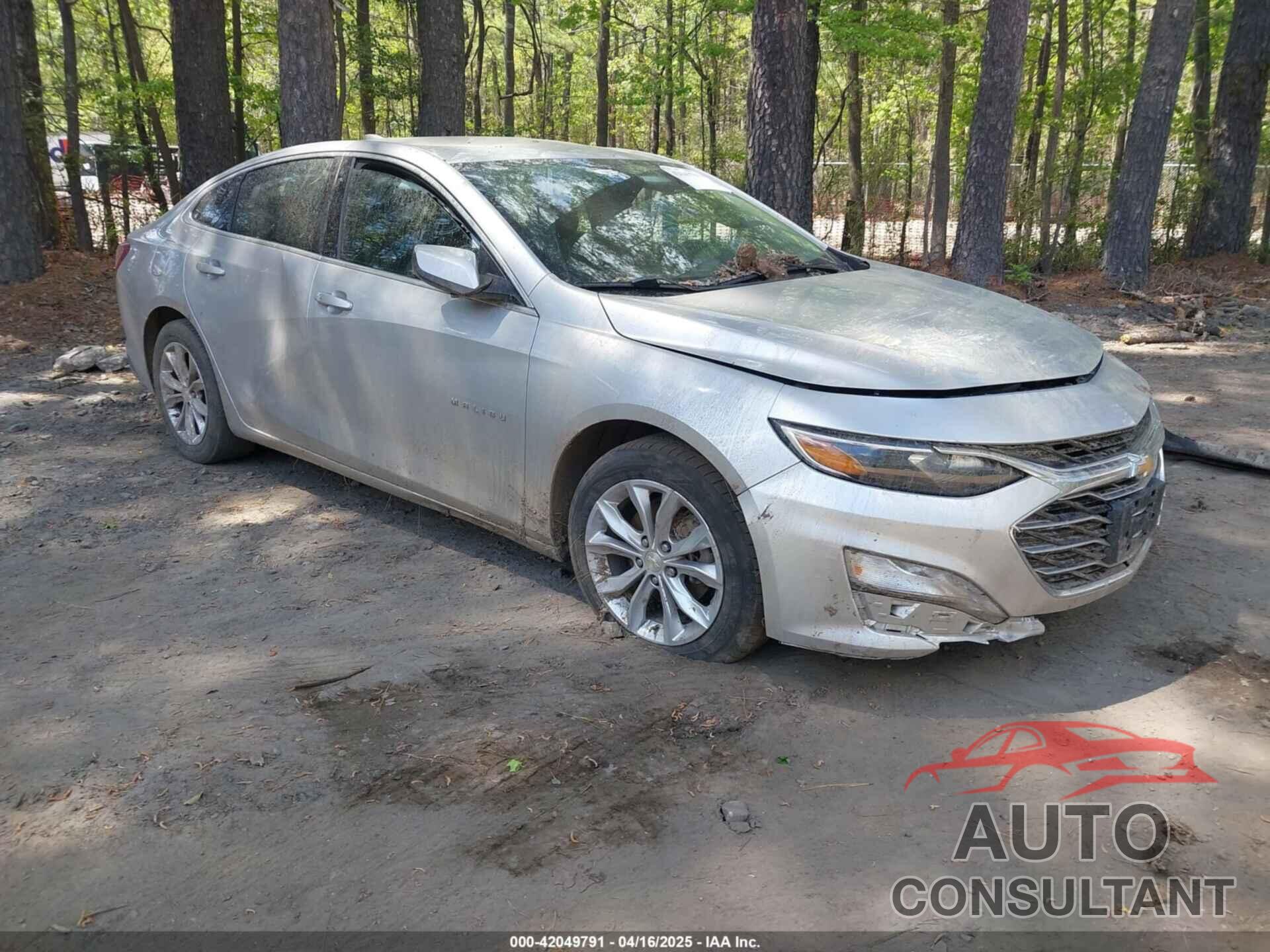 CHEVROLET MALIBU 2019 - 1G1ZD5ST7KF161292