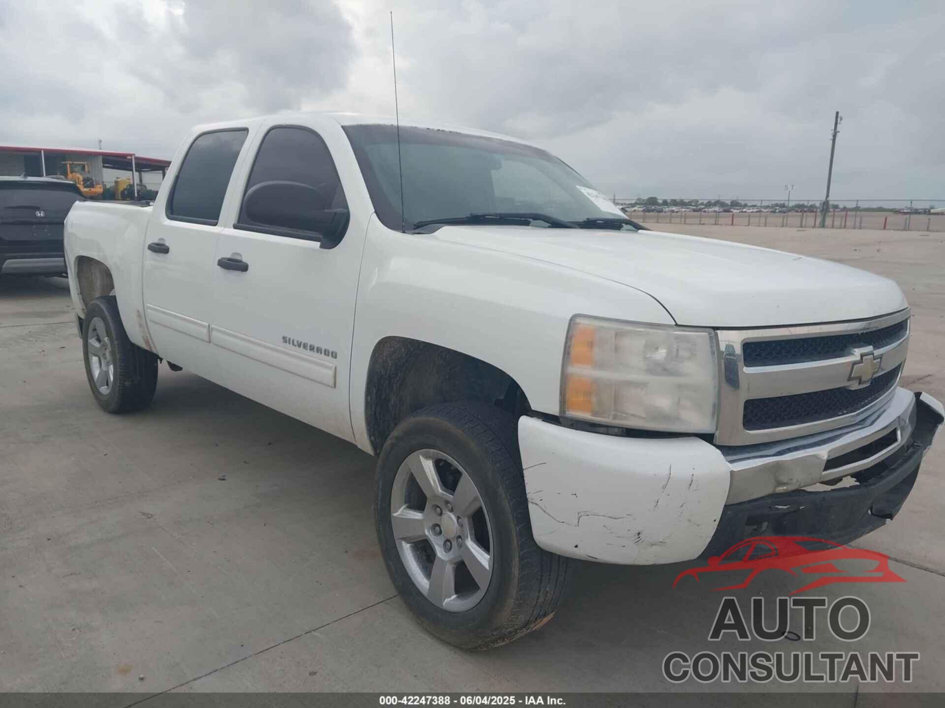 CHEVROLET SILVERADO 1500 2011 - 3GCPCSE03BG147146