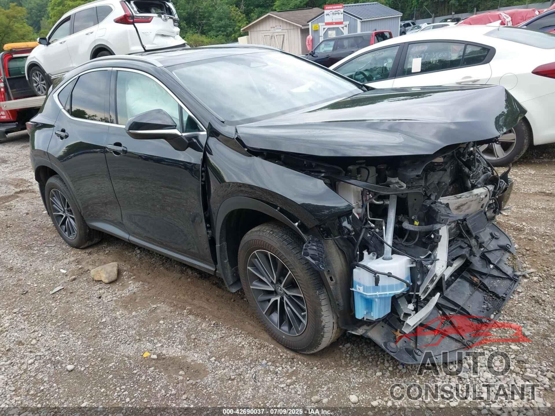 LEXUS NX 350H 2023 - 2T2GKCEZXPC012895