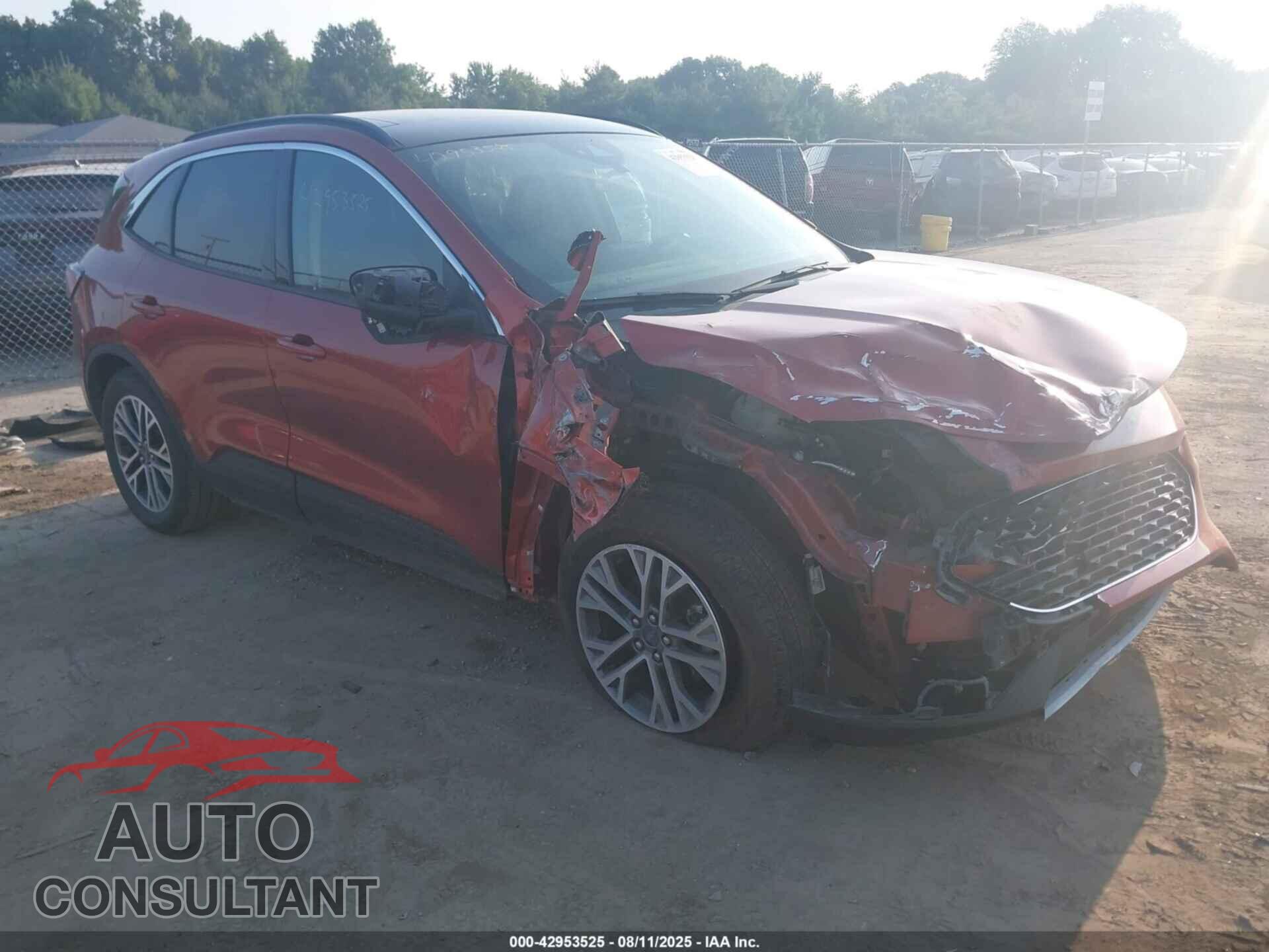 FORD ESCAPE 2020 - 1FMCU9H62LUA30897