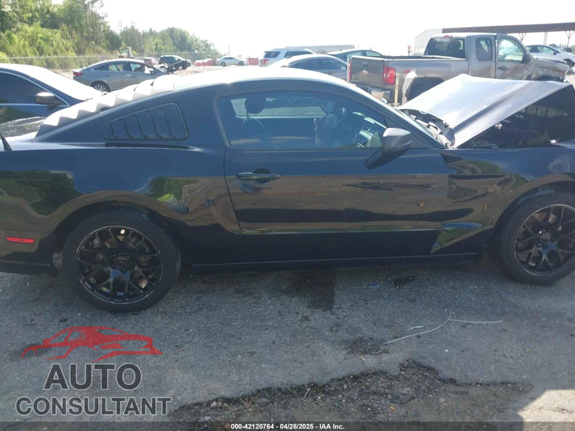FORD MUSTANG 2014 - 1ZVBP8AM7E5324901