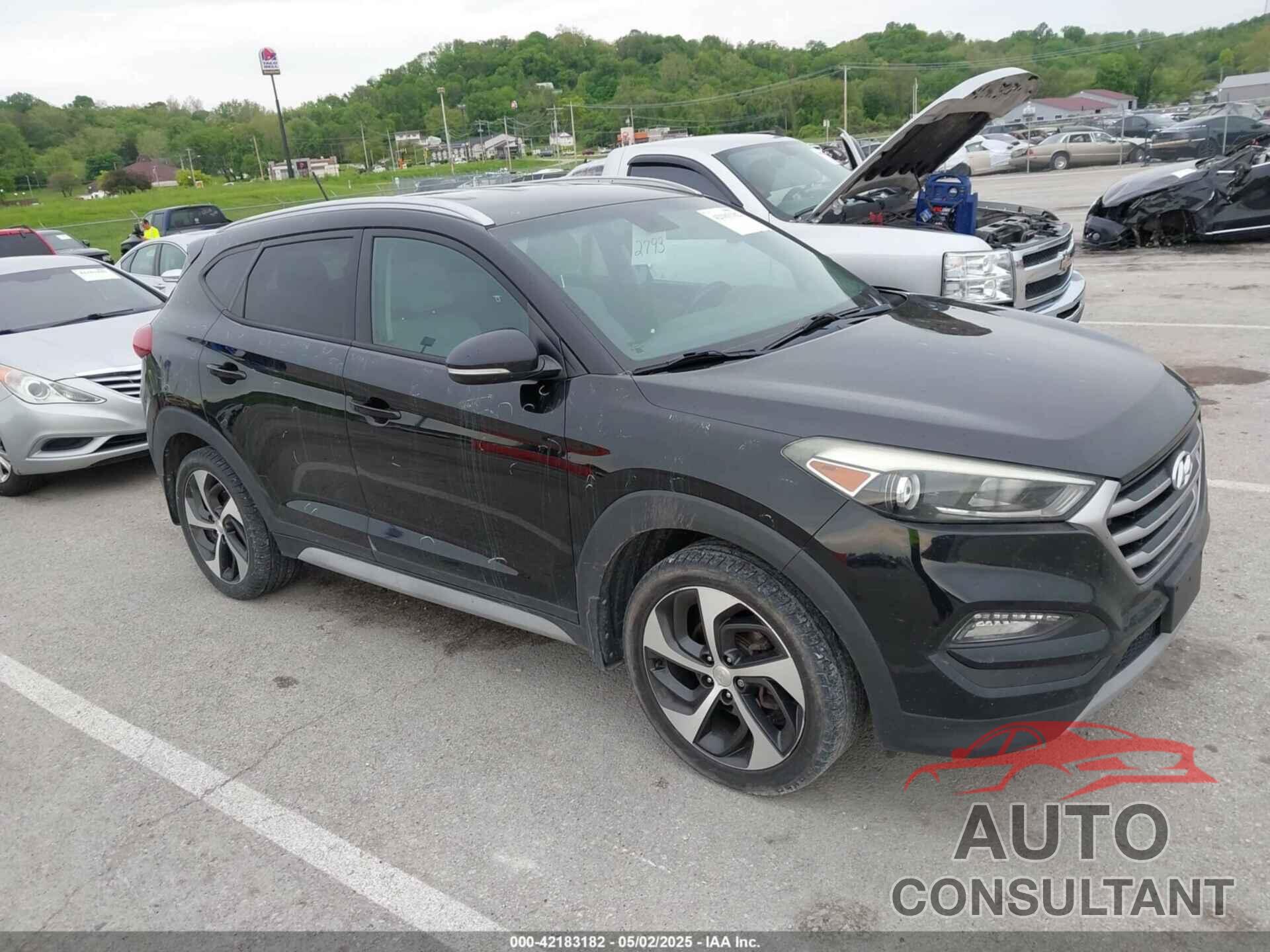 HYUNDAI TUCSON 2017 - KM8J3CA22HU402793