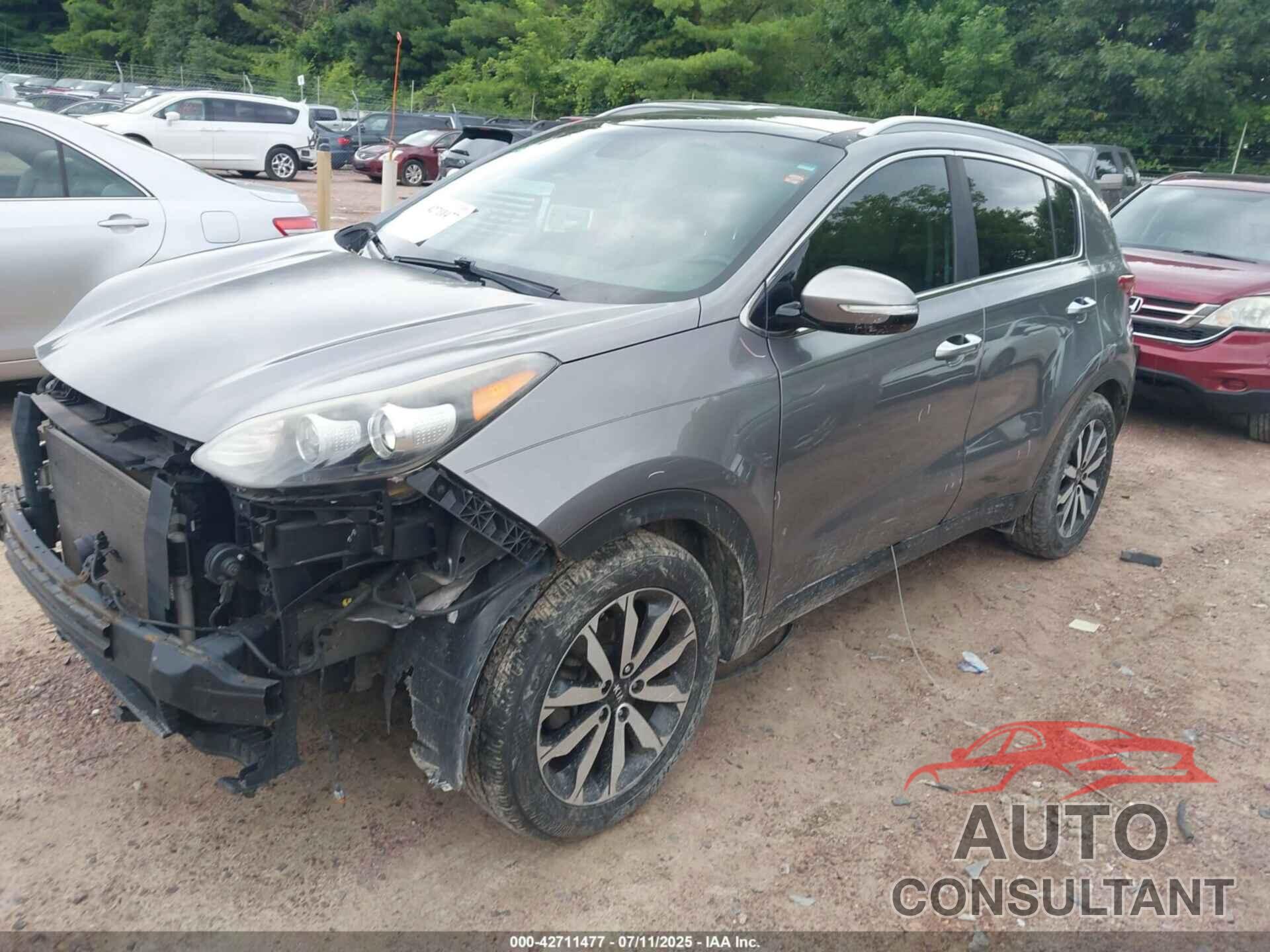 KIA SPORTAGE 2017 - KNDPN3AC7H7162477
