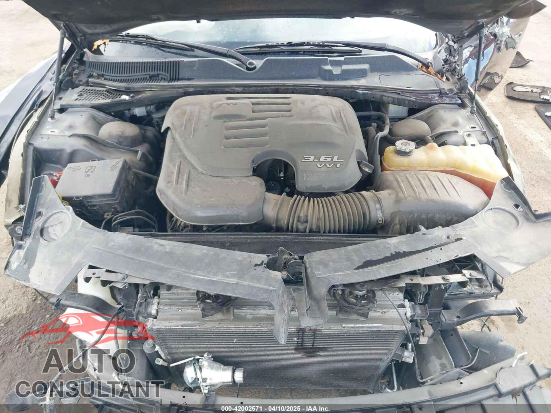 DODGE CHALLENGER 2019 - 2C3CDZAG8KH666463