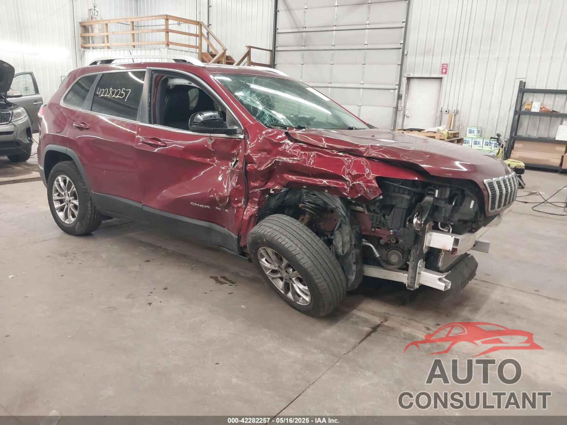 JEEP CHEROKEE 2019 - 1C4PJMLBXKD118214