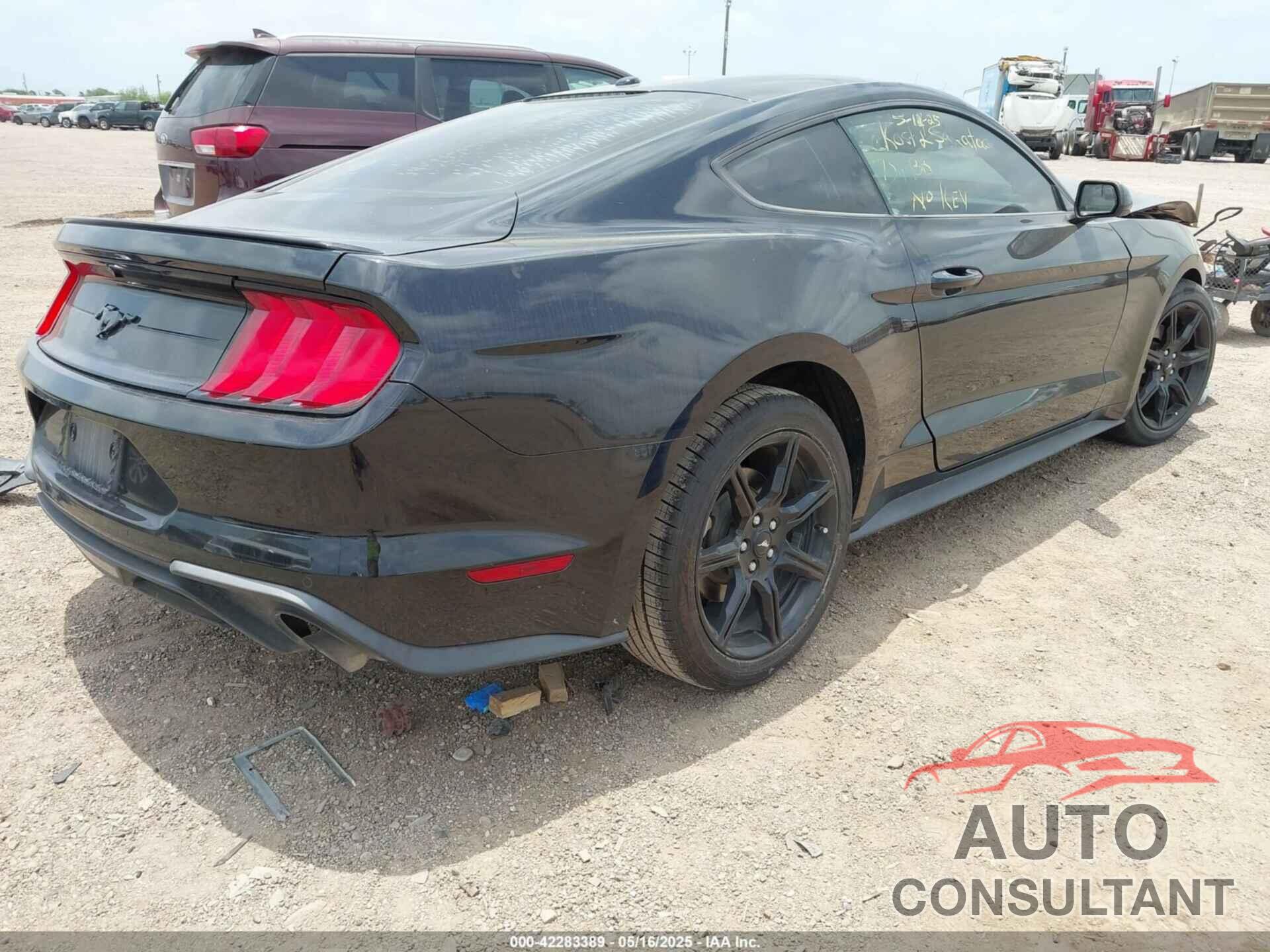 FORD MUSTANG 2019 - 1FA6P8THXK5125833