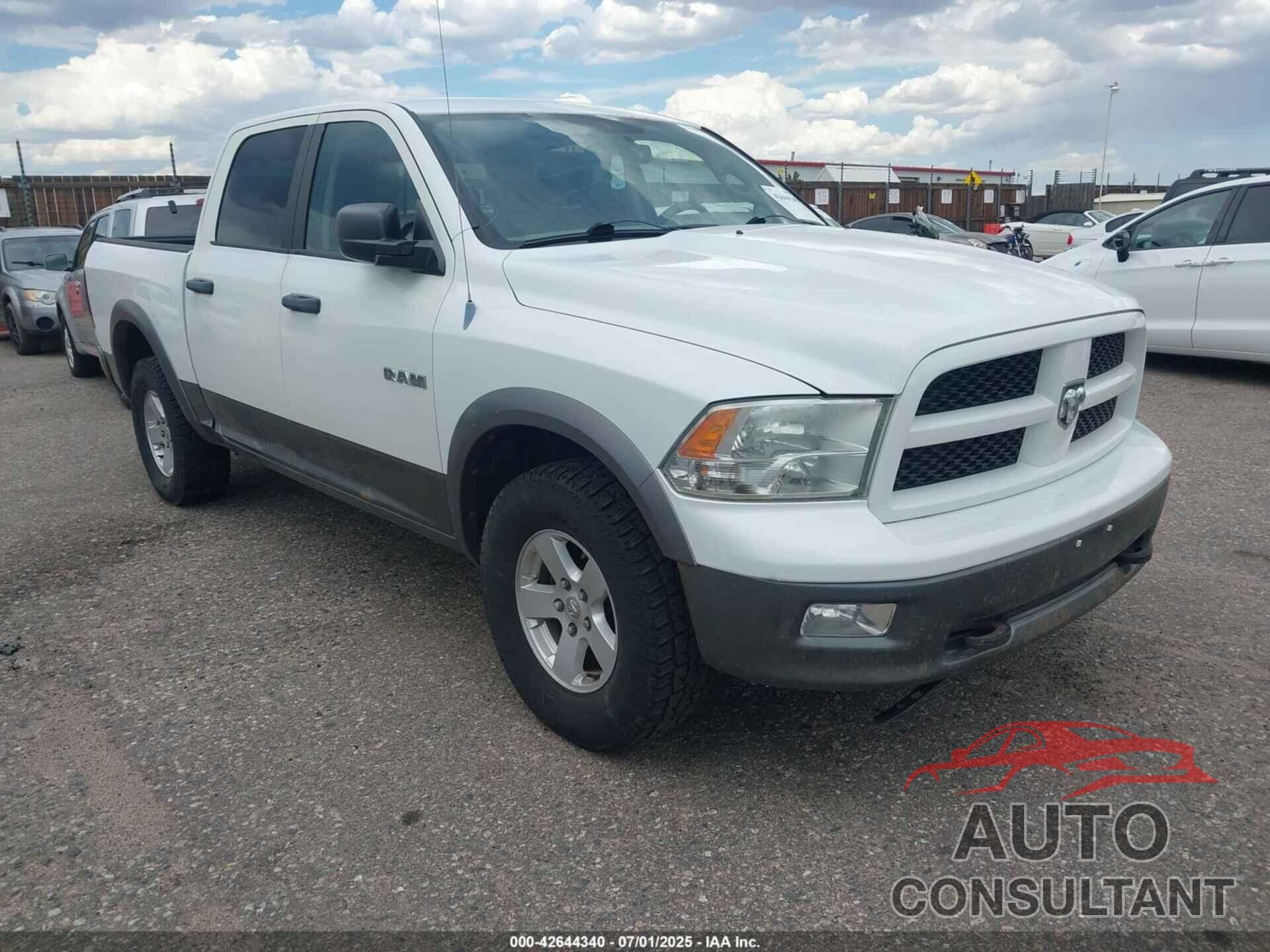 DODGE RAM 1500 2010 - 1D7RV1CP9AS201379