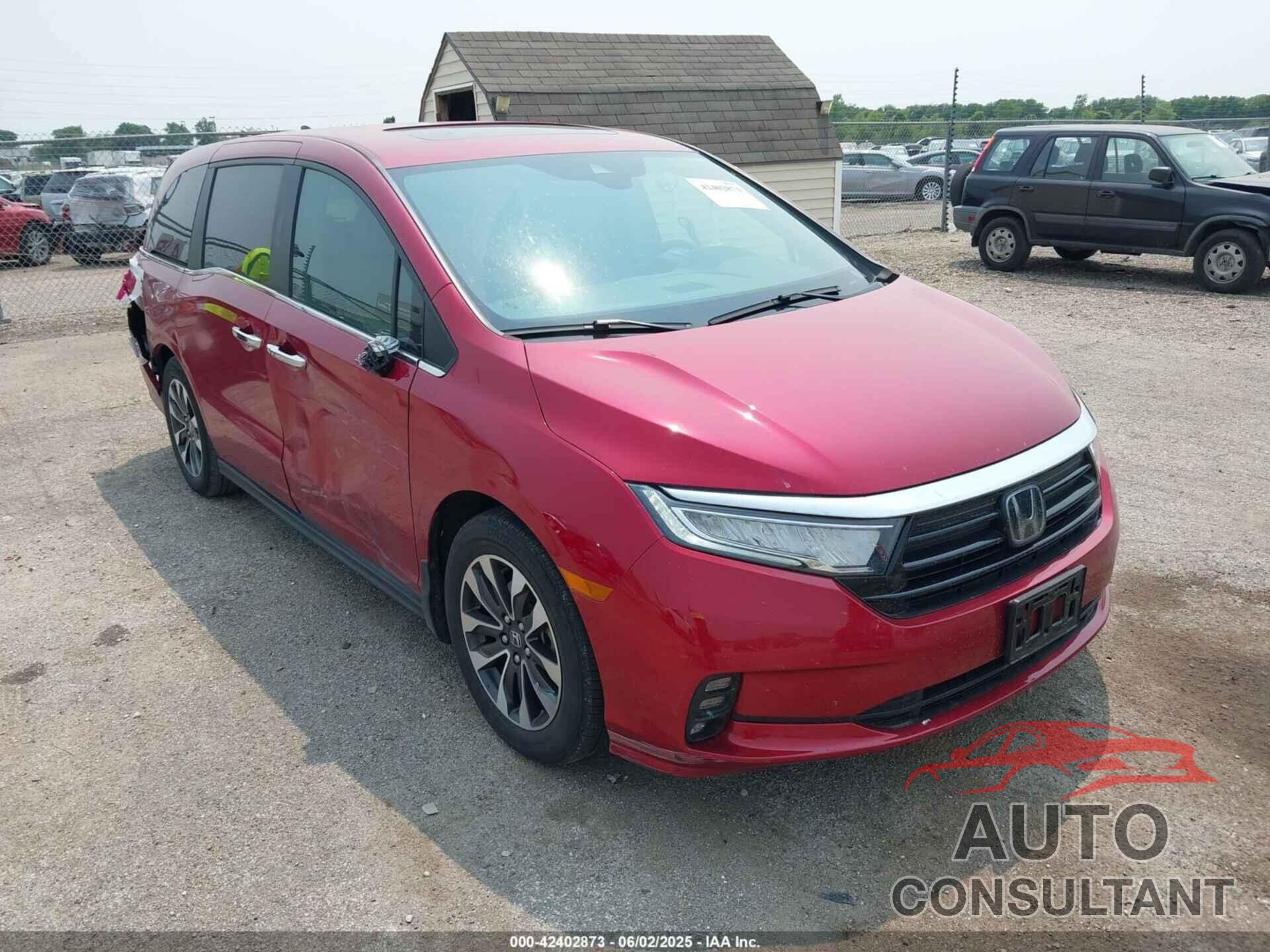 HONDA ODYSSEY 2024 - 5FNRL6H6XRB045391