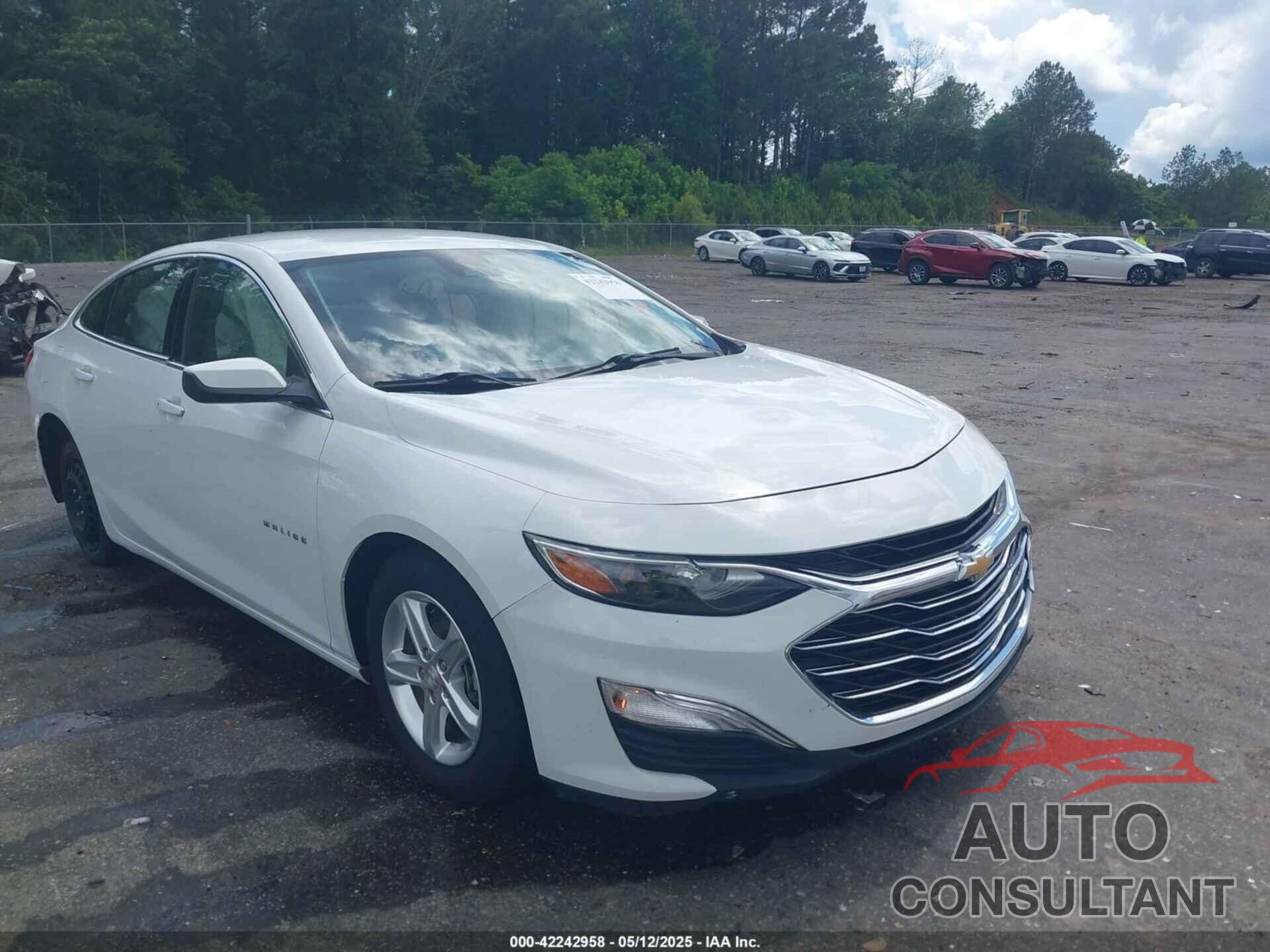 CHEVROLET MALIBU 2020 - 1G1ZC5ST6LF158081