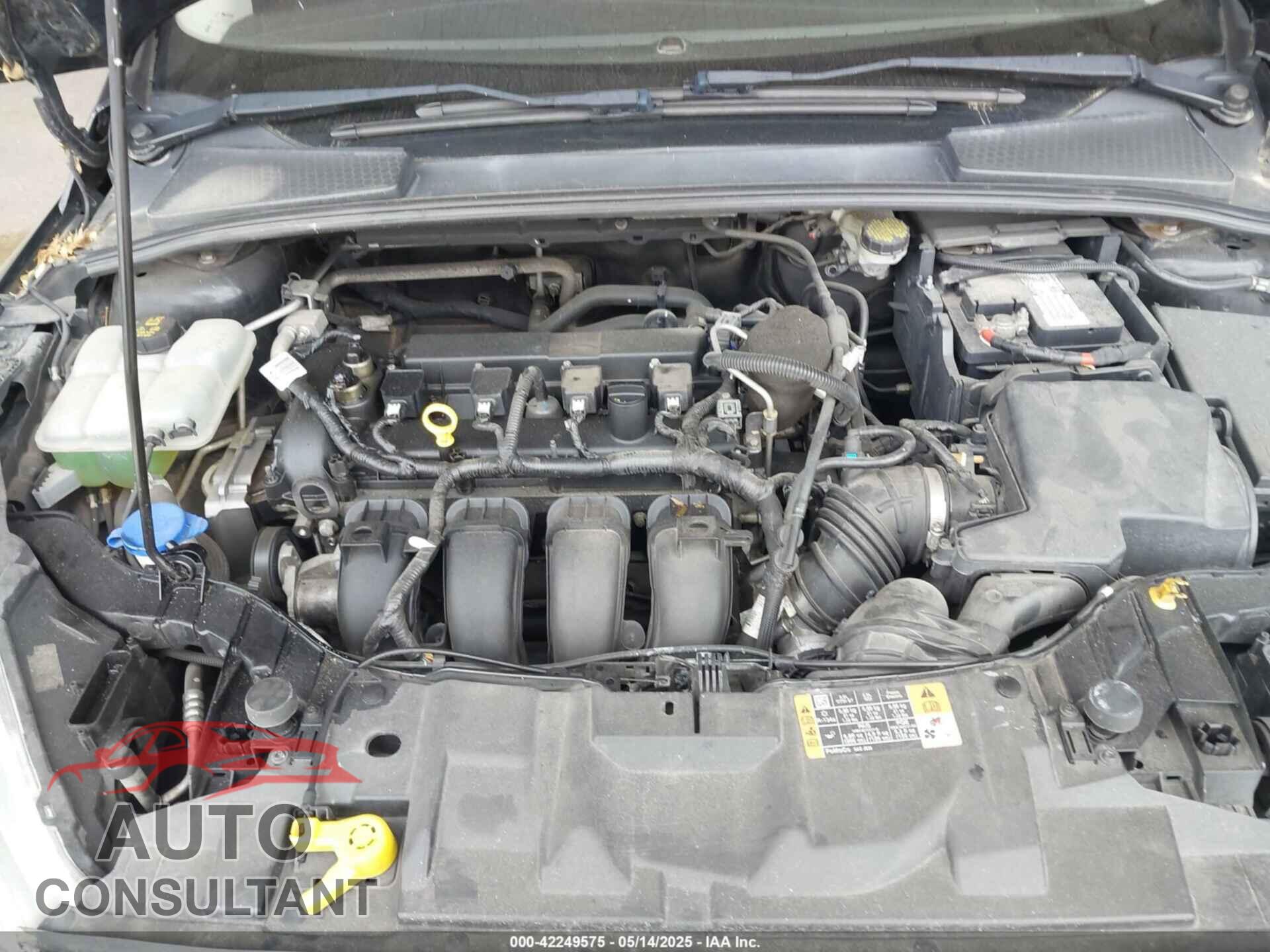 FORD FOCUS 2016 - 1FADP3K29GL210933