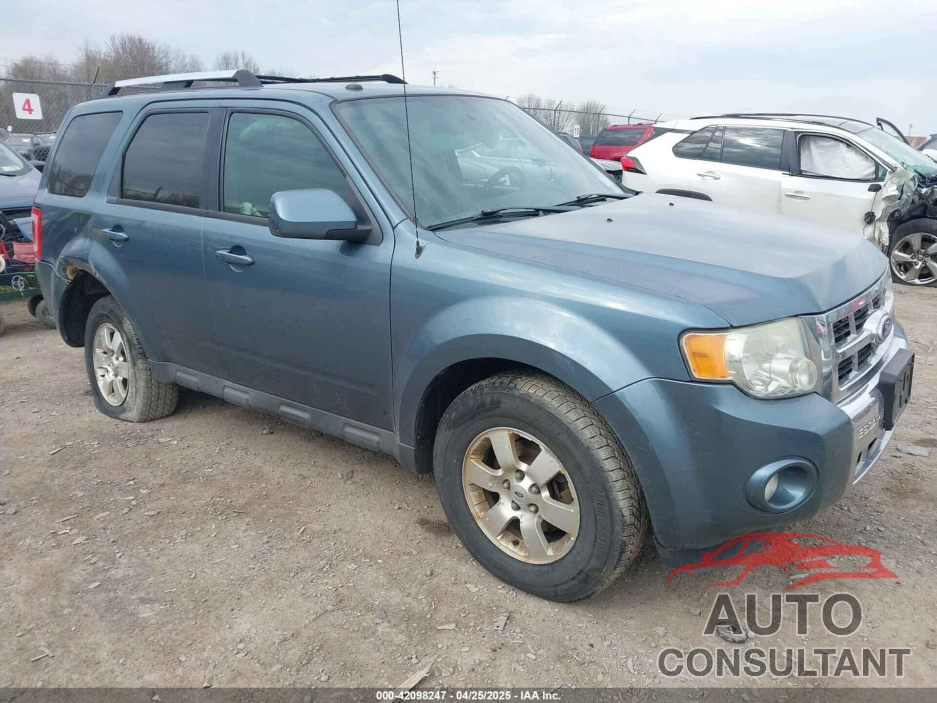 FORD ESCAPE 2011 - 1FMCU9EG2BKA75300