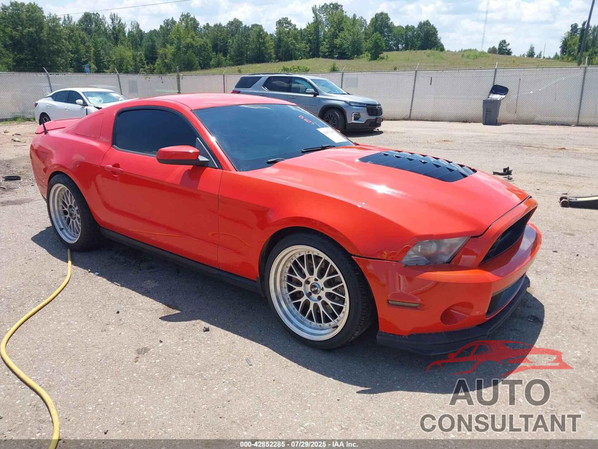 FORD MUSTANG 2011 - 1ZVBP8CF8B5123597