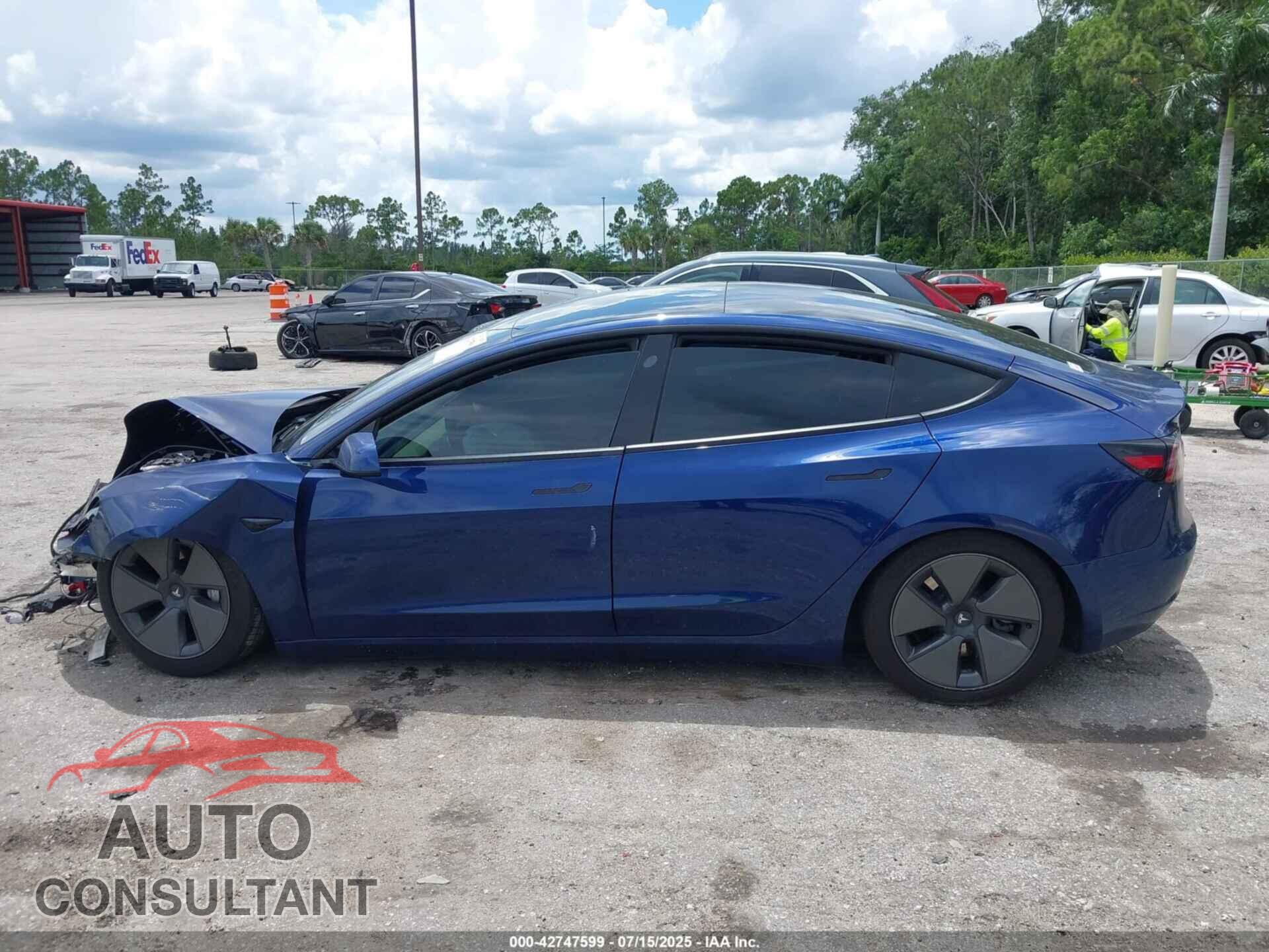 TESLA MODEL 3 2021 - 5YJ3E1EA1MF017550