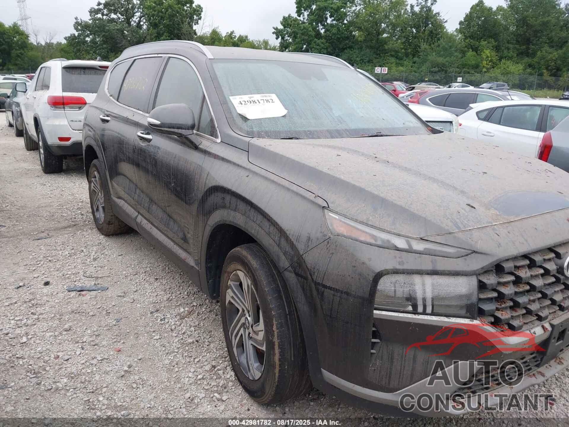 HYUNDAI SANTA FE 2023 - 5NMS2DAJ3PH611443