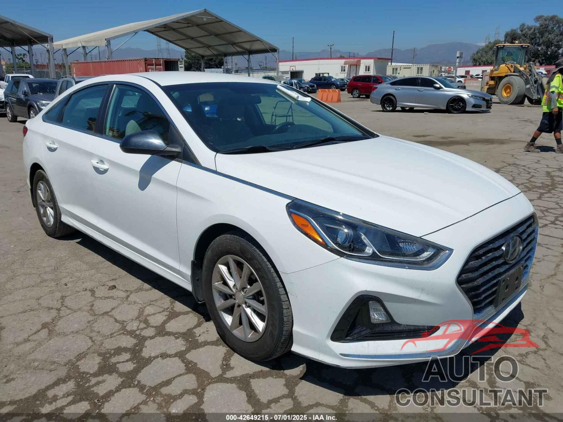 HYUNDAI SONATA 2019 - 5NPE24AF1KH794555