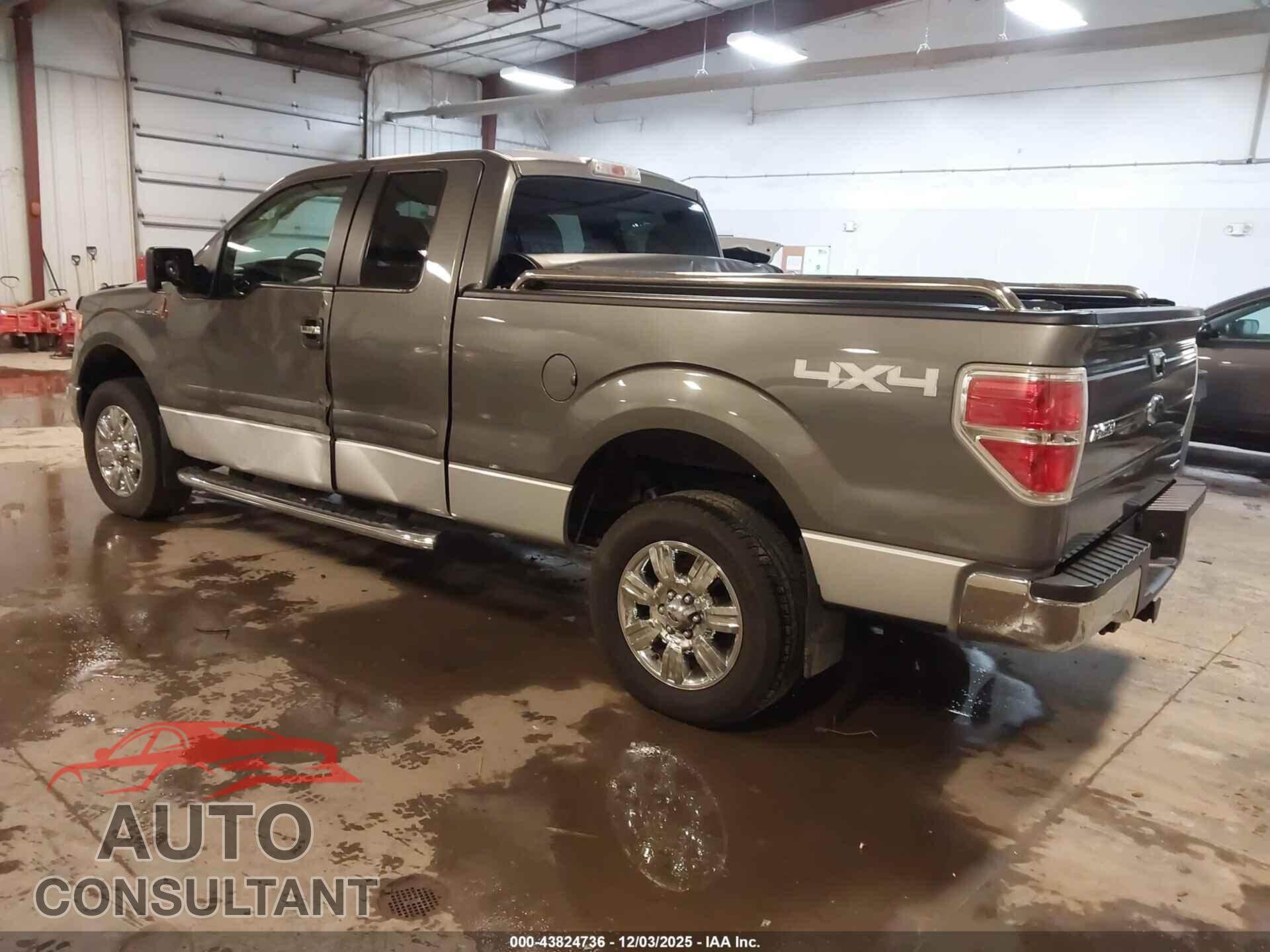 FORD F-150 2011 - 1FTFX1EF8BFA35541