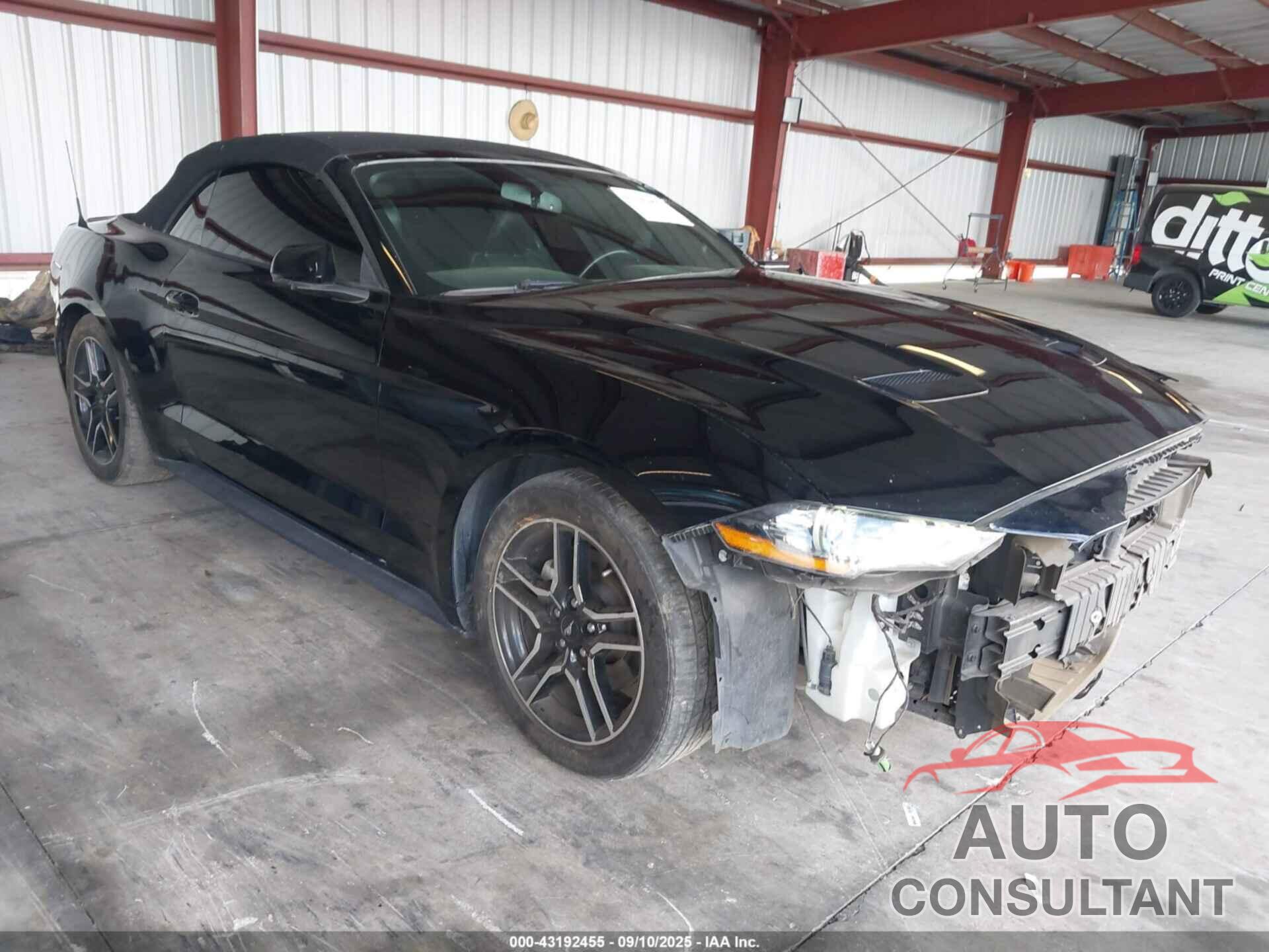 FORD MUSTANG 2019 - 1FATP8UH3K5179315