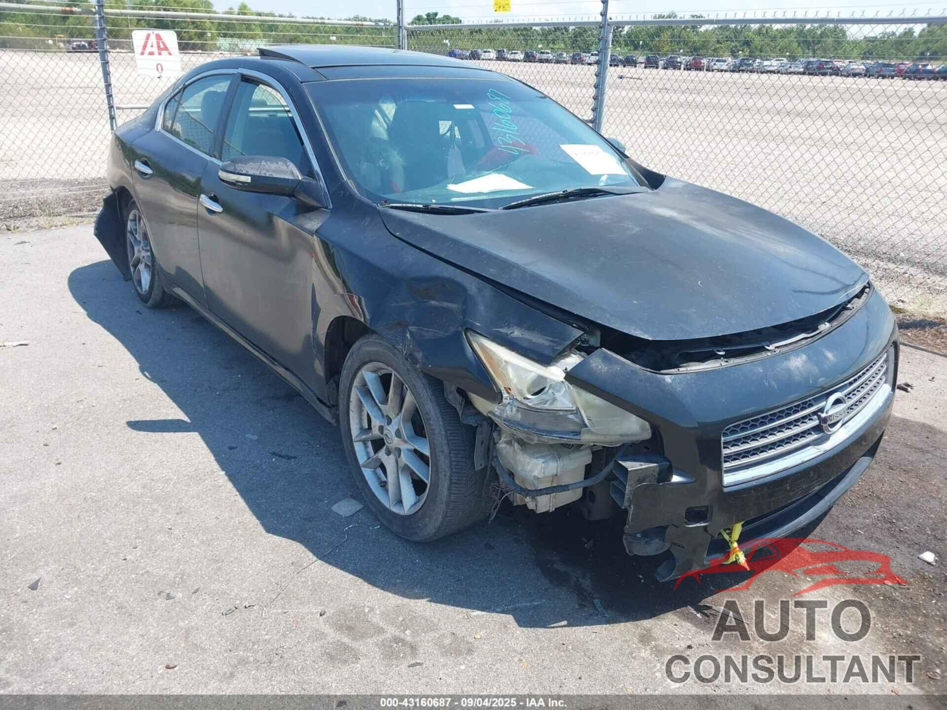 NISSAN MAXIMA 2010 - 1N4AA5AP4AC866655