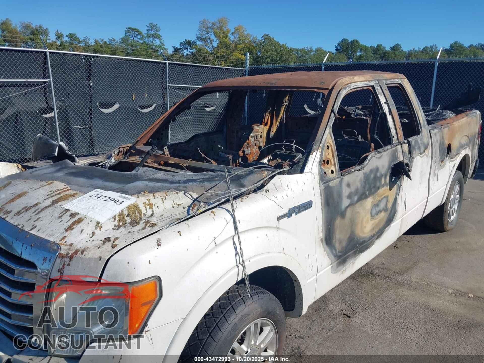 FORD F-150 2013 - 1FTFX1CF5DFD74912