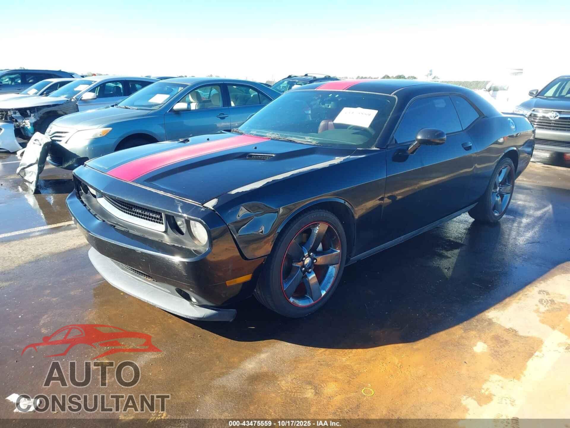 DODGE CHALLENGER 2012 - 2C3CDYAG1CH294802