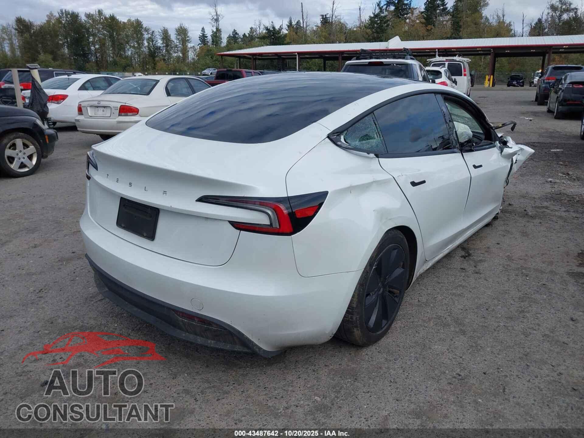 TESLA MODEL 3 2024 - 5YJ3E1EAXRF831624