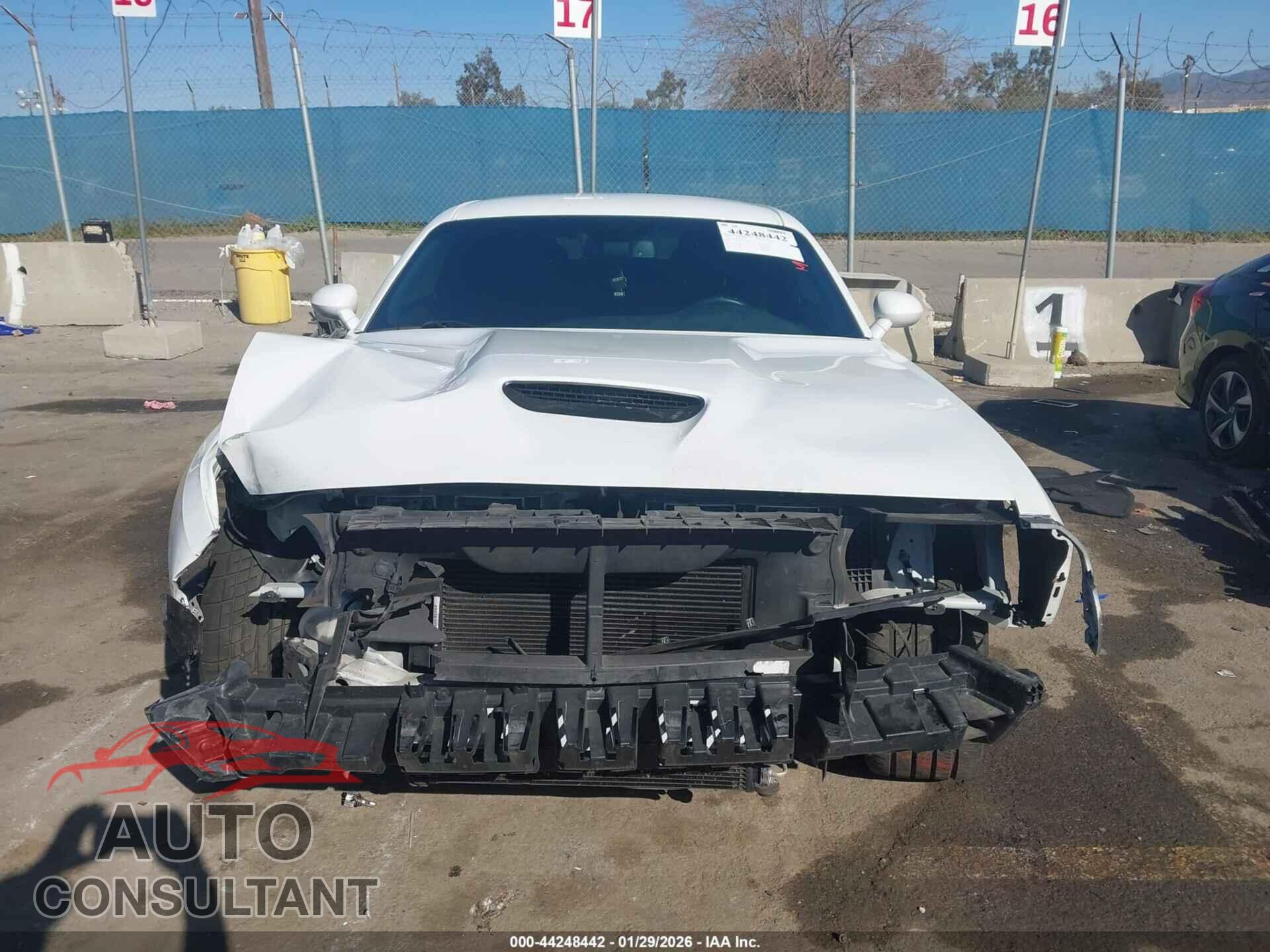 DODGE CHALLENGER 2019 - 2C3CDZBT8KH552331