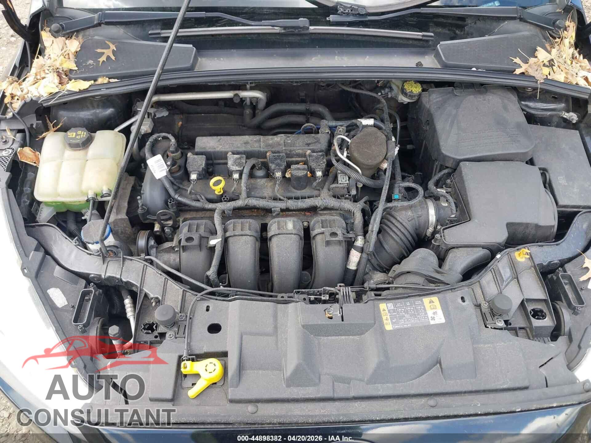 FORD FOCUS 2016 - 1FADP3E20GL279019