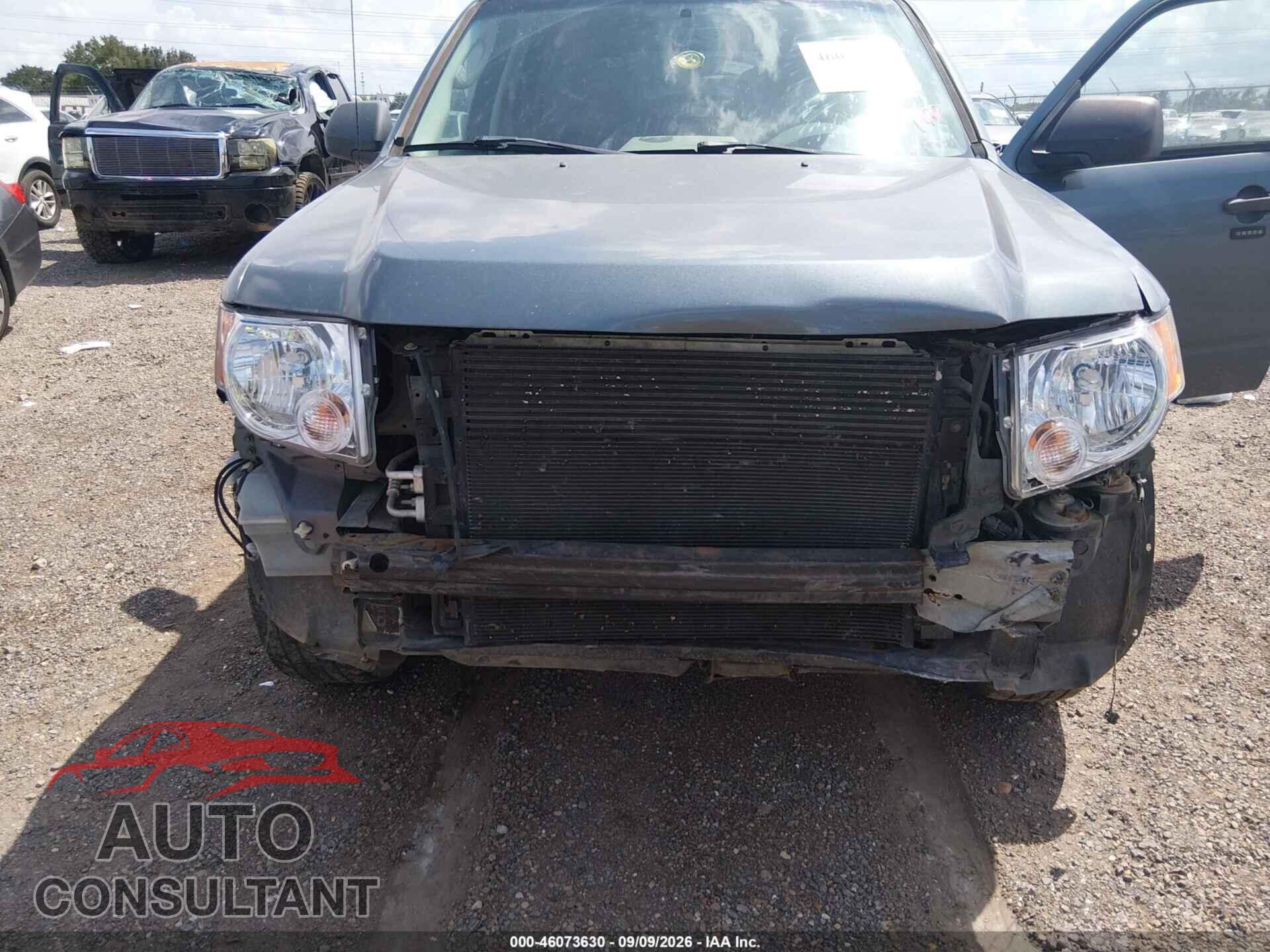 FORD ESCAPE 2010 - 1FMCU0D76AKA04547