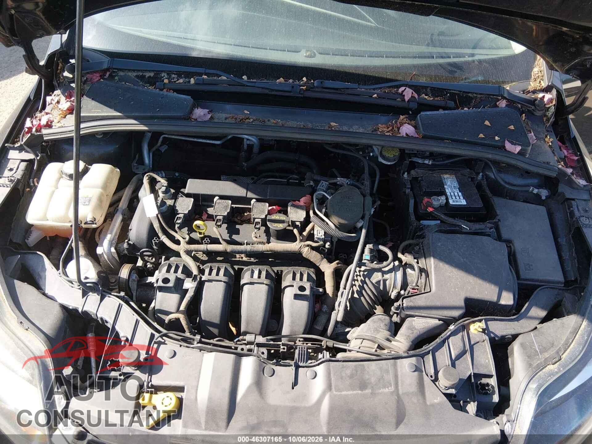 FORD FOCUS 2012 - 1FAHP3J25CL290955