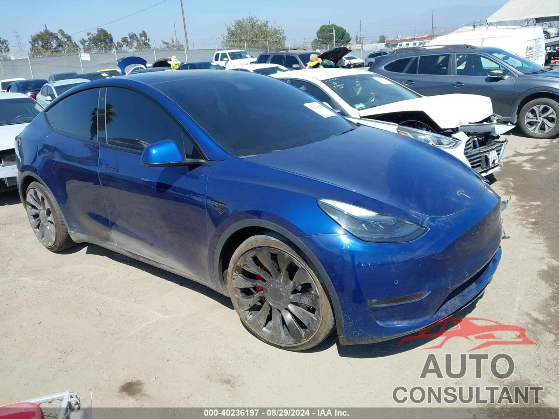 TESLA MODEL Y 2022 - 7SAYGDEF0NF405998