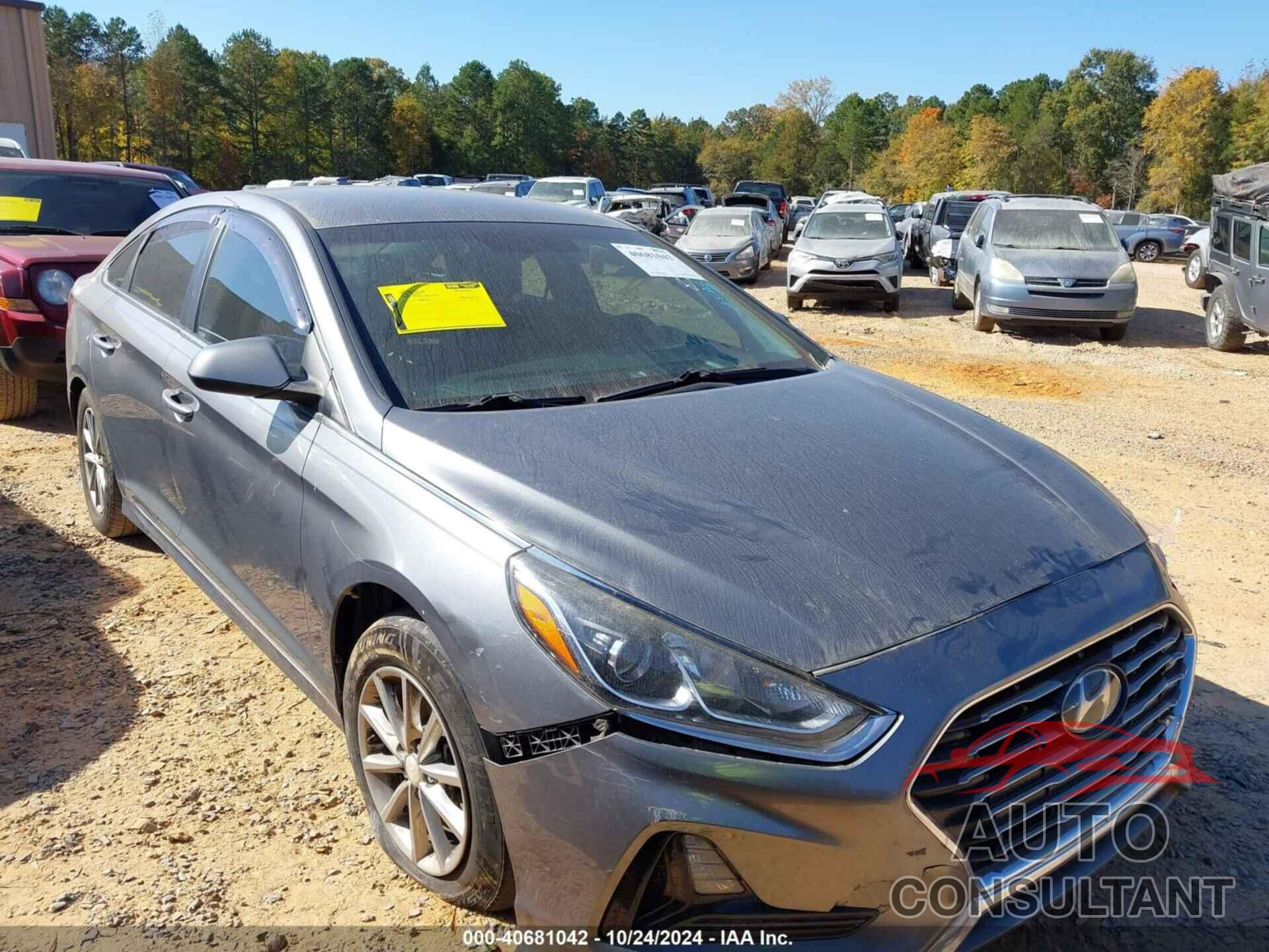 HYUNDAI SONATA 2019 - 5NPE24AF0KH758534