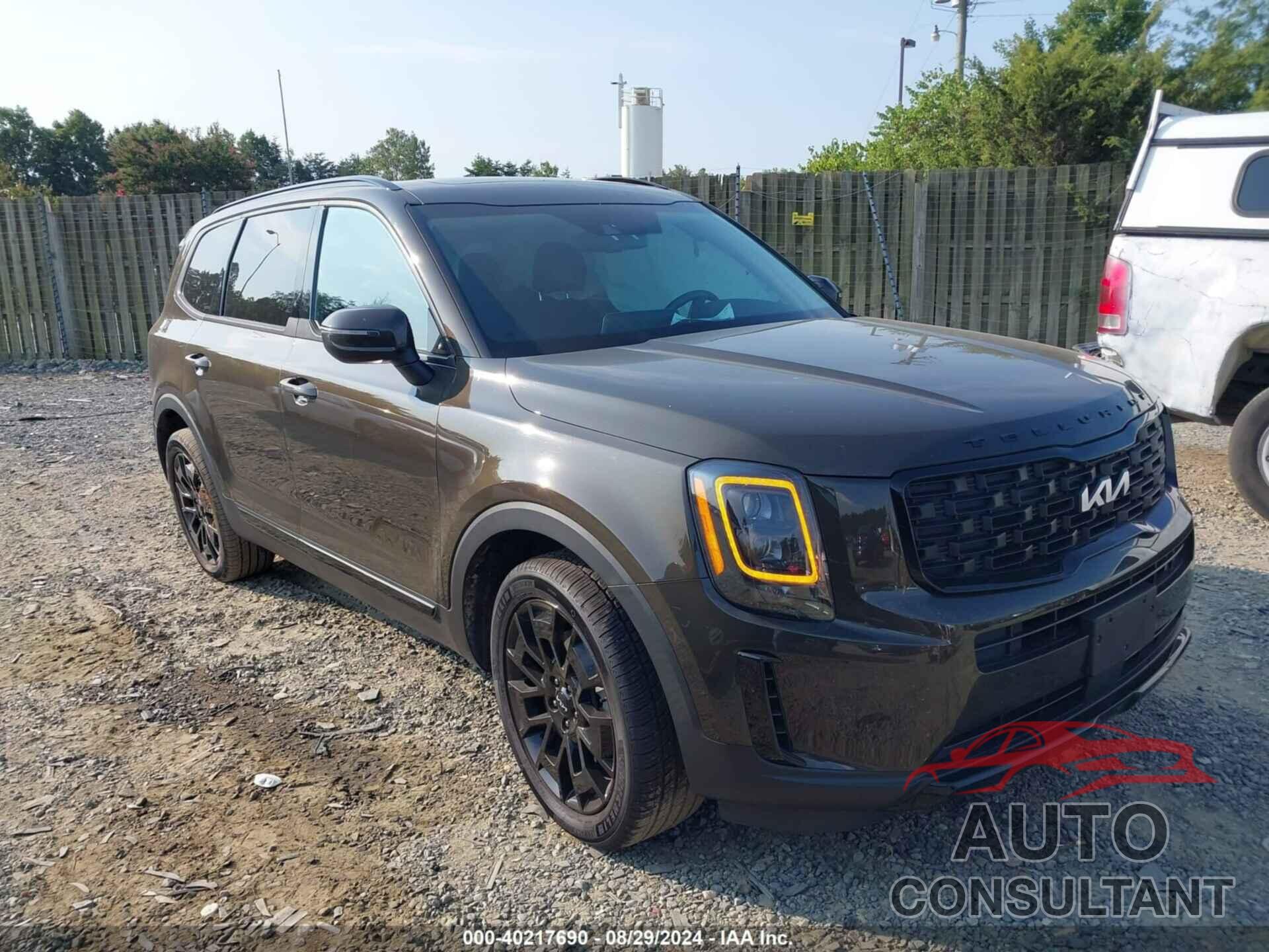 KIA TELLURIDE 2022 - 5XYP3DHC2NG256668