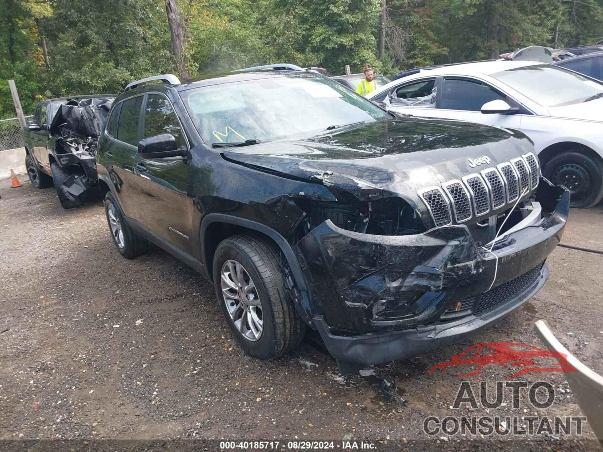 JEEP CHEROKEE 2019 - 1C4PJMLBXKD182124